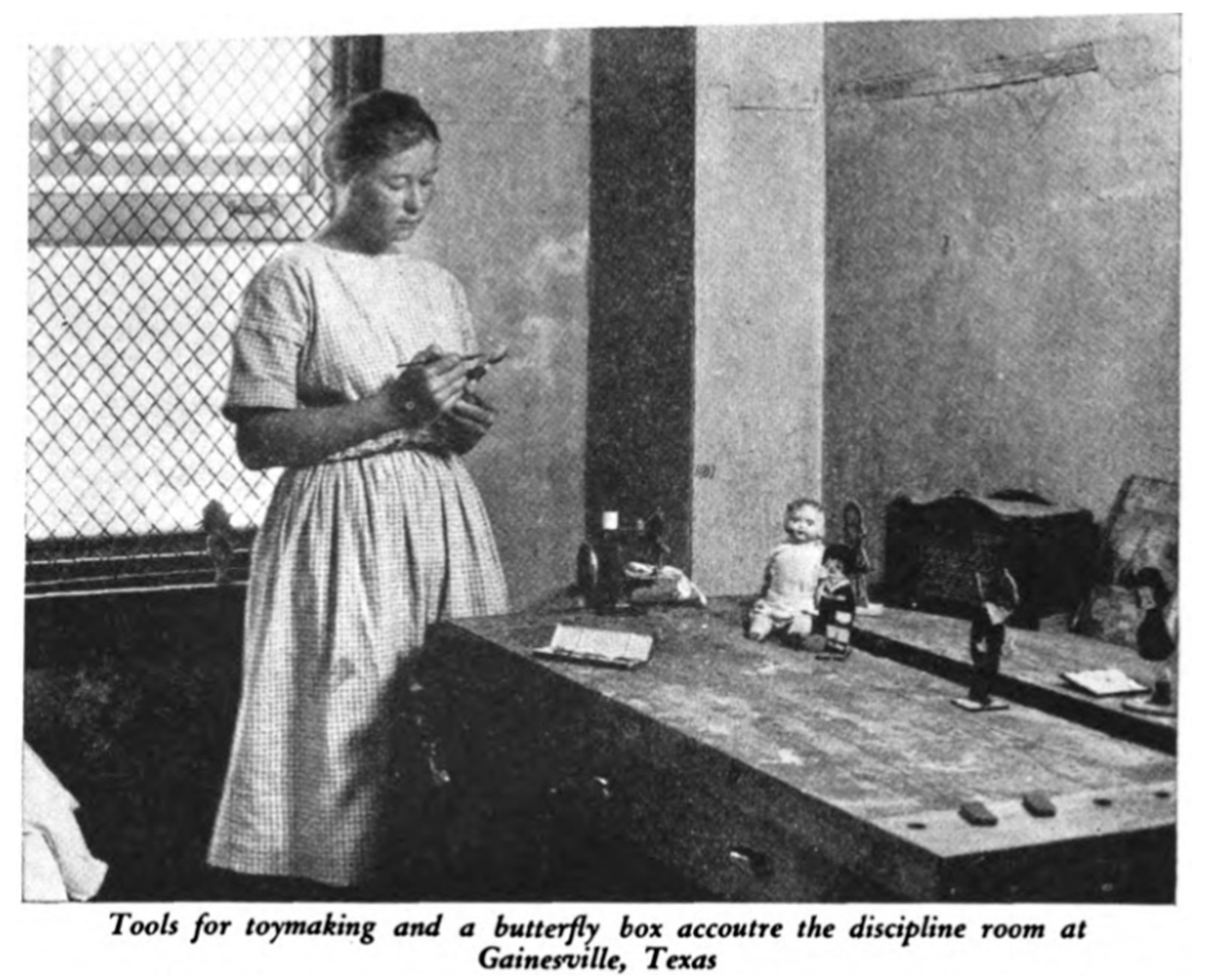 Socsci 13 00380 g004