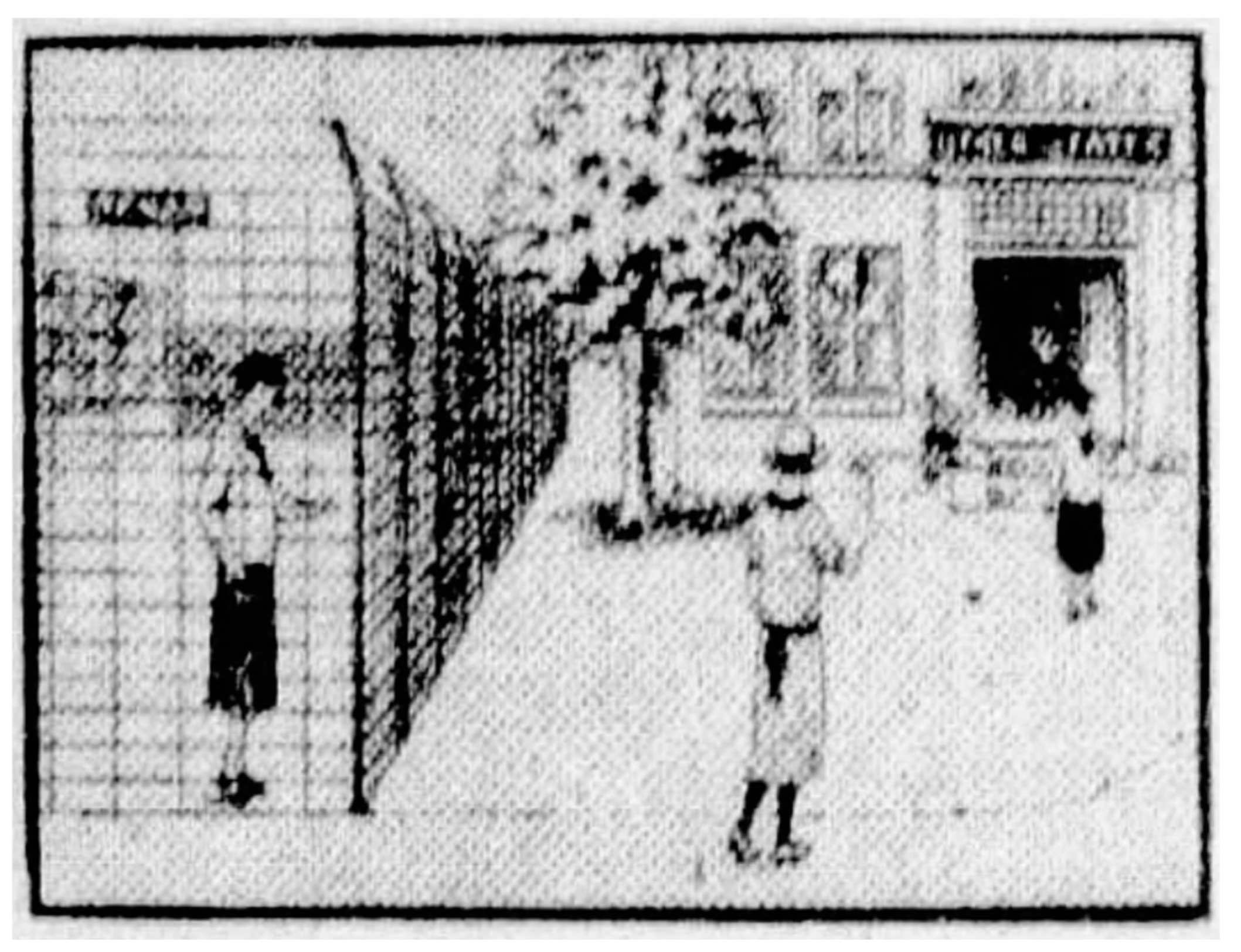 Socsci 13 00380 g005