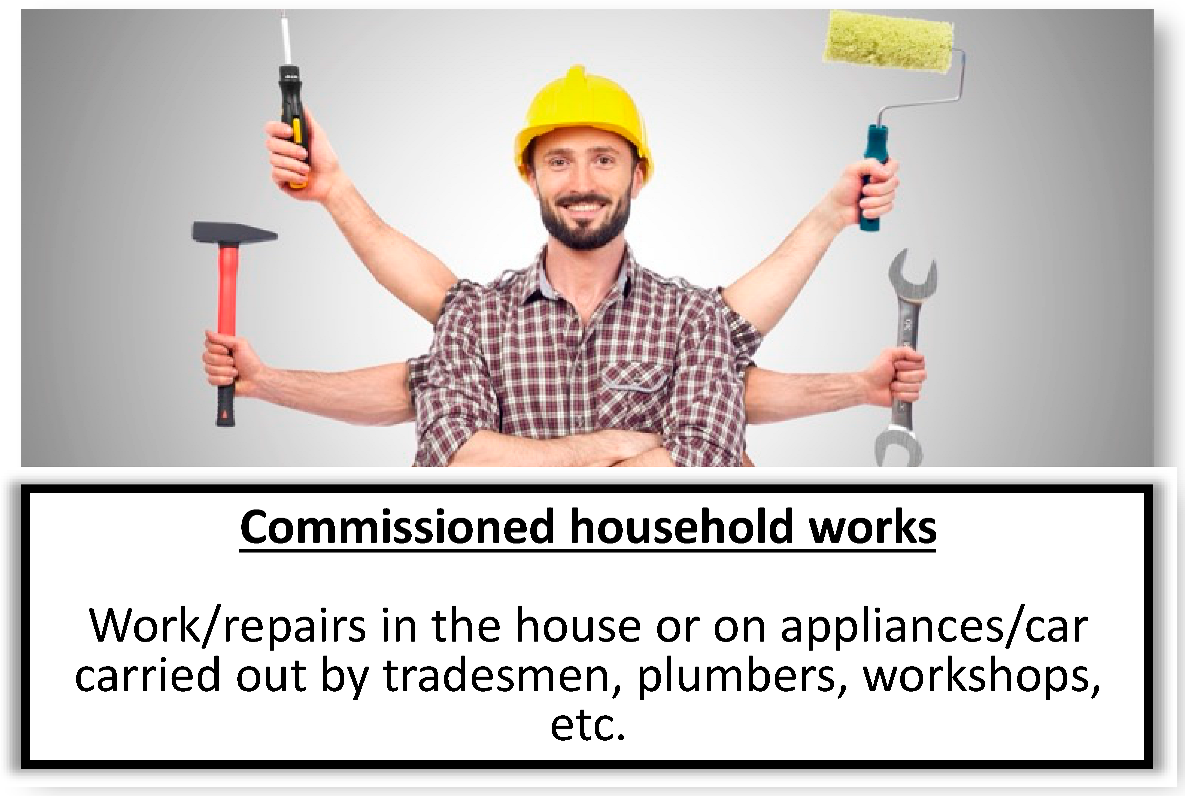 Socsci 13 00404 i003