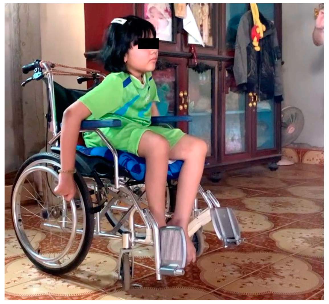 Socsci 13 00525 g002