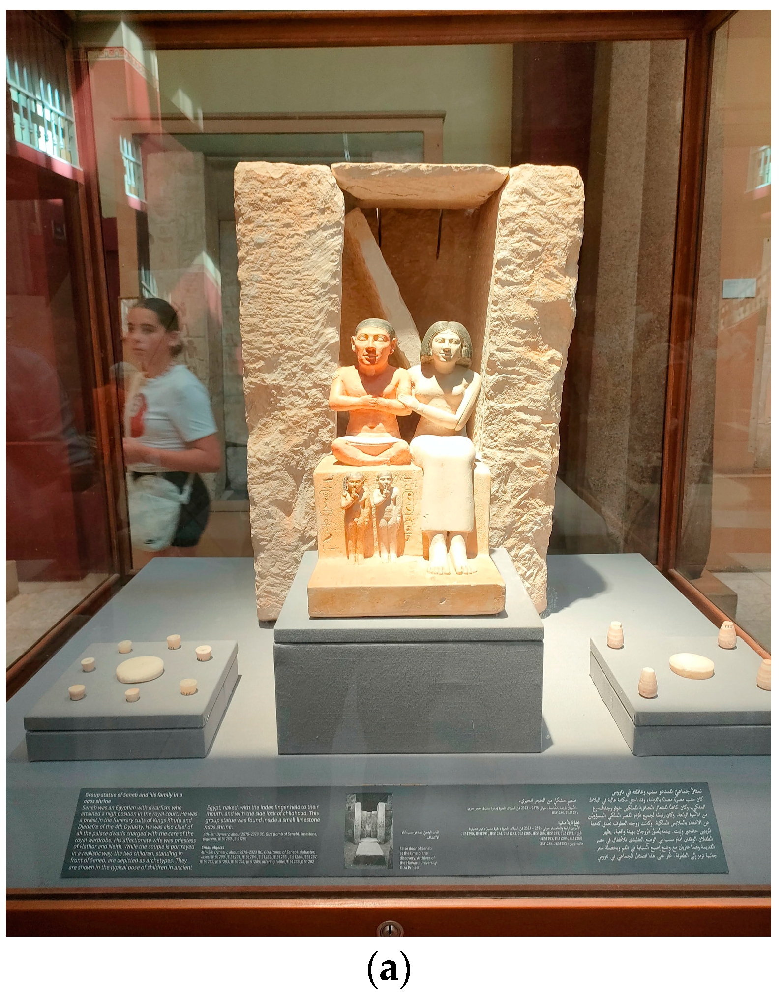 Socsci 13 00647 g001a