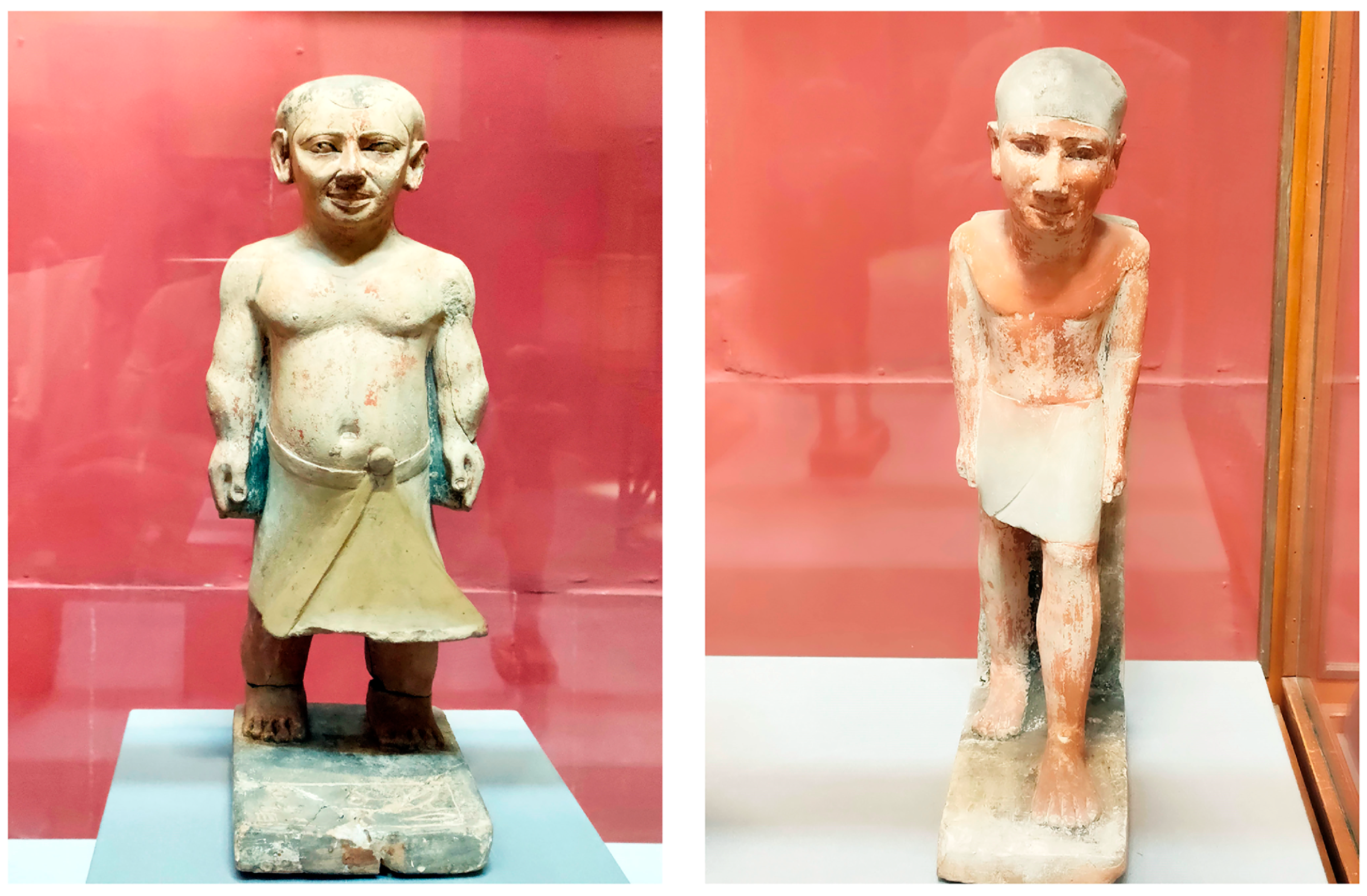 Socsci 13 00647 g002