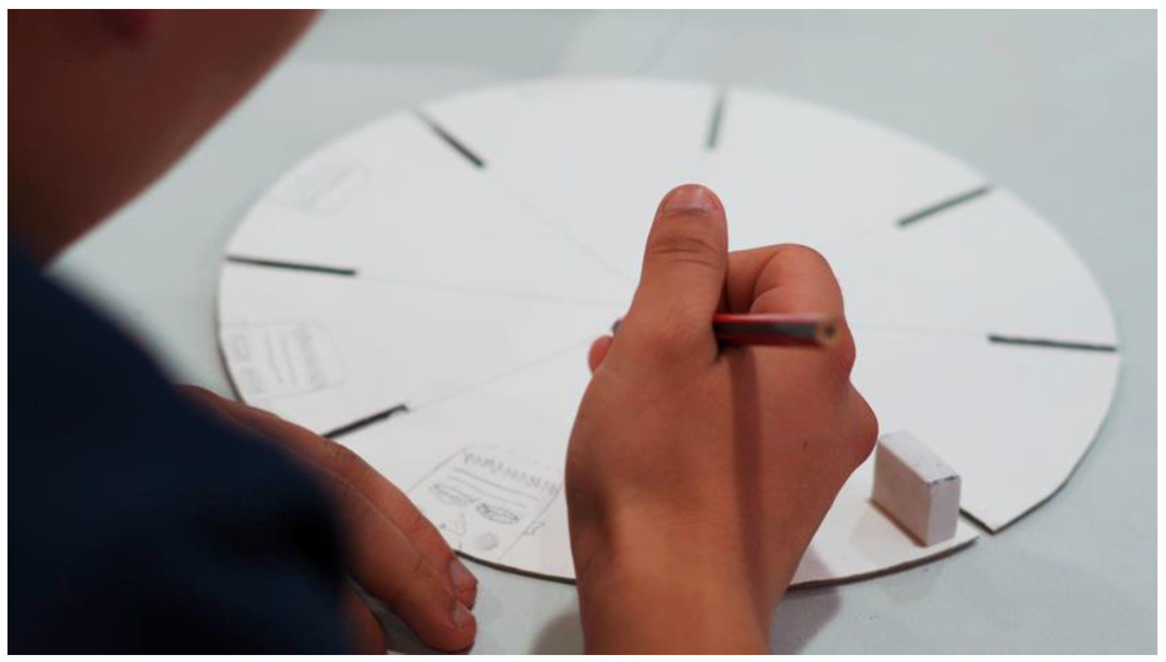 Socsci 13 00671 g005