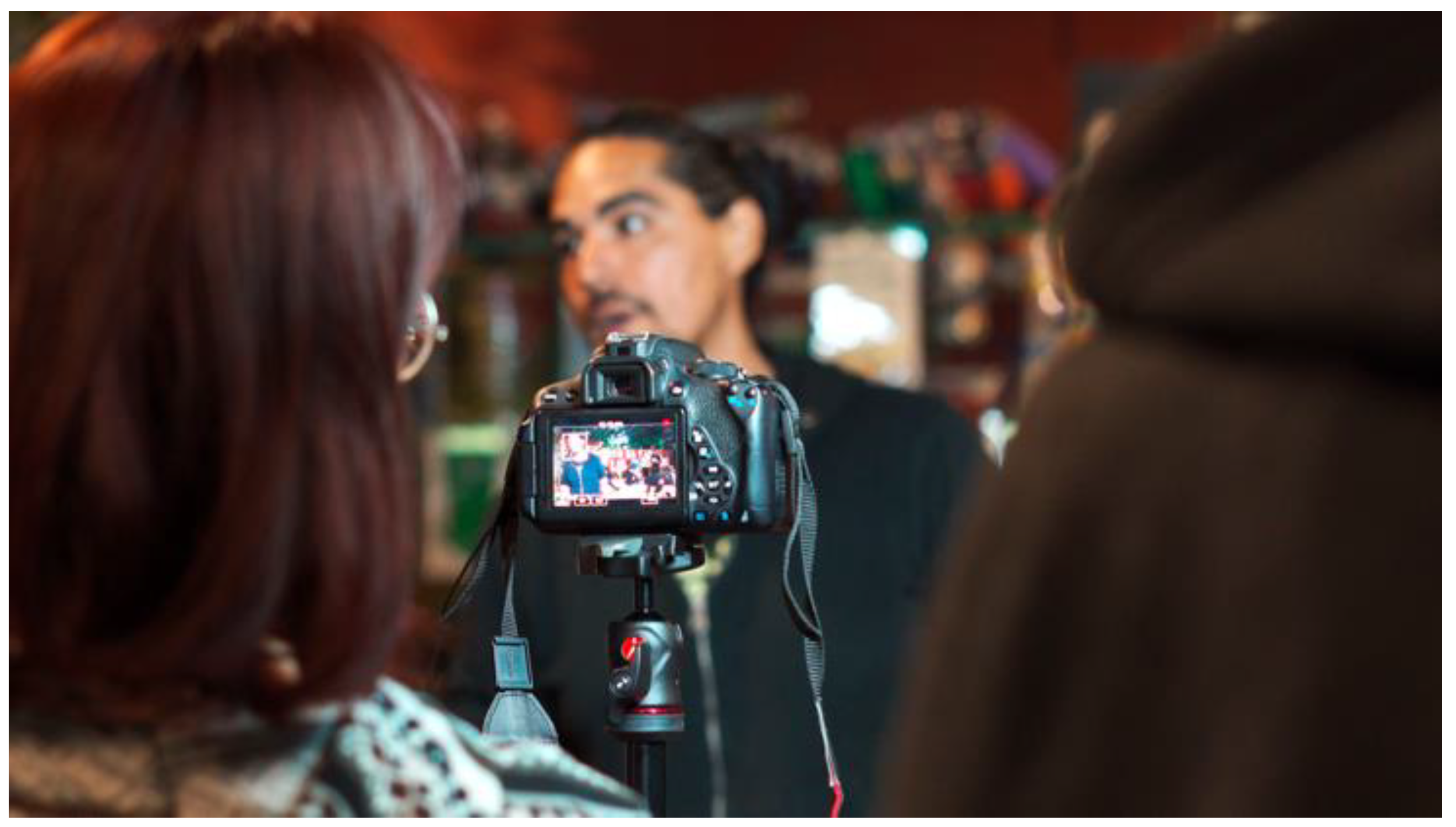 Socsci 13 00671 g010