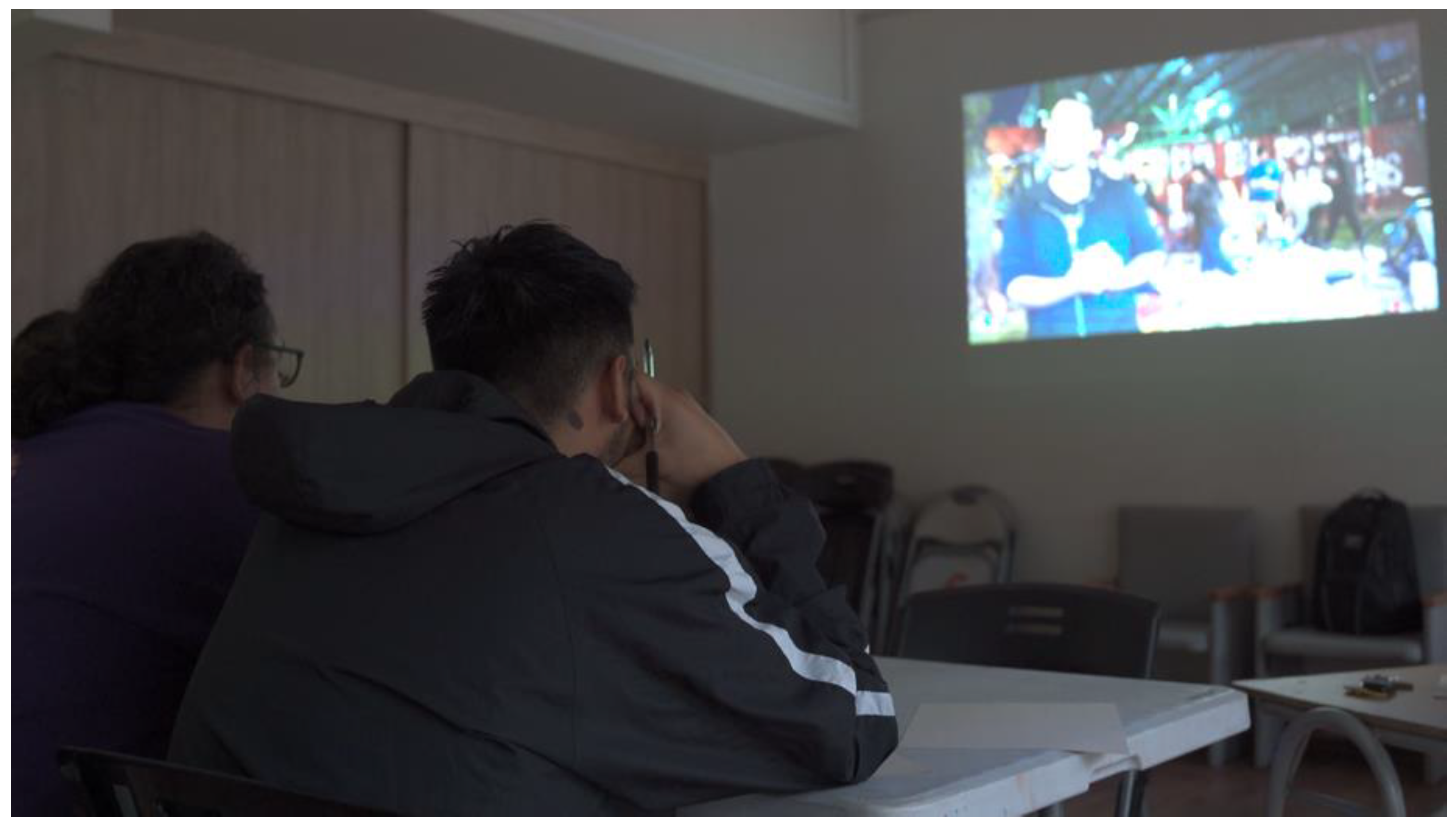 Socsci 13 00671 g011