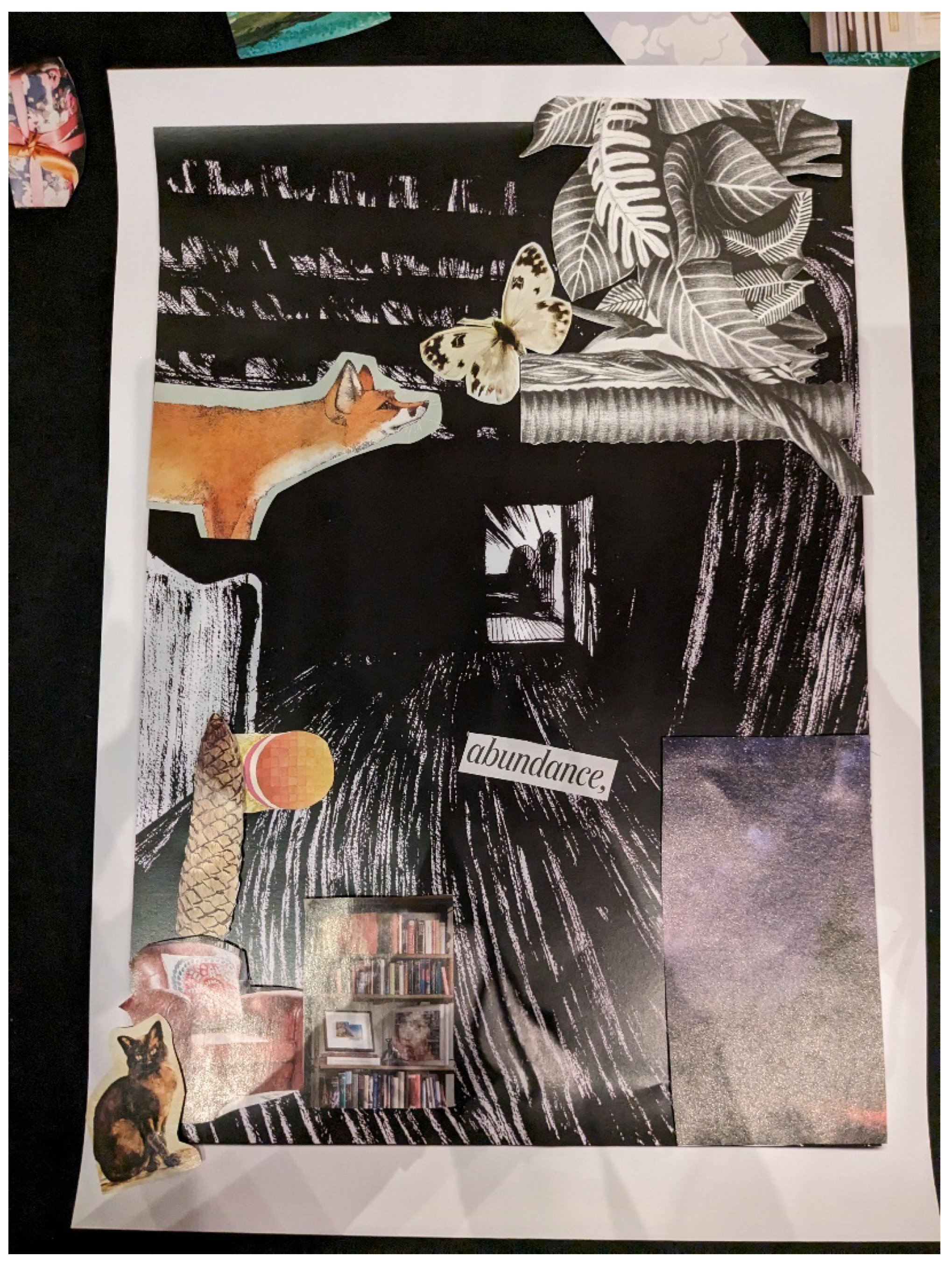 Socsci 13 00682 g002