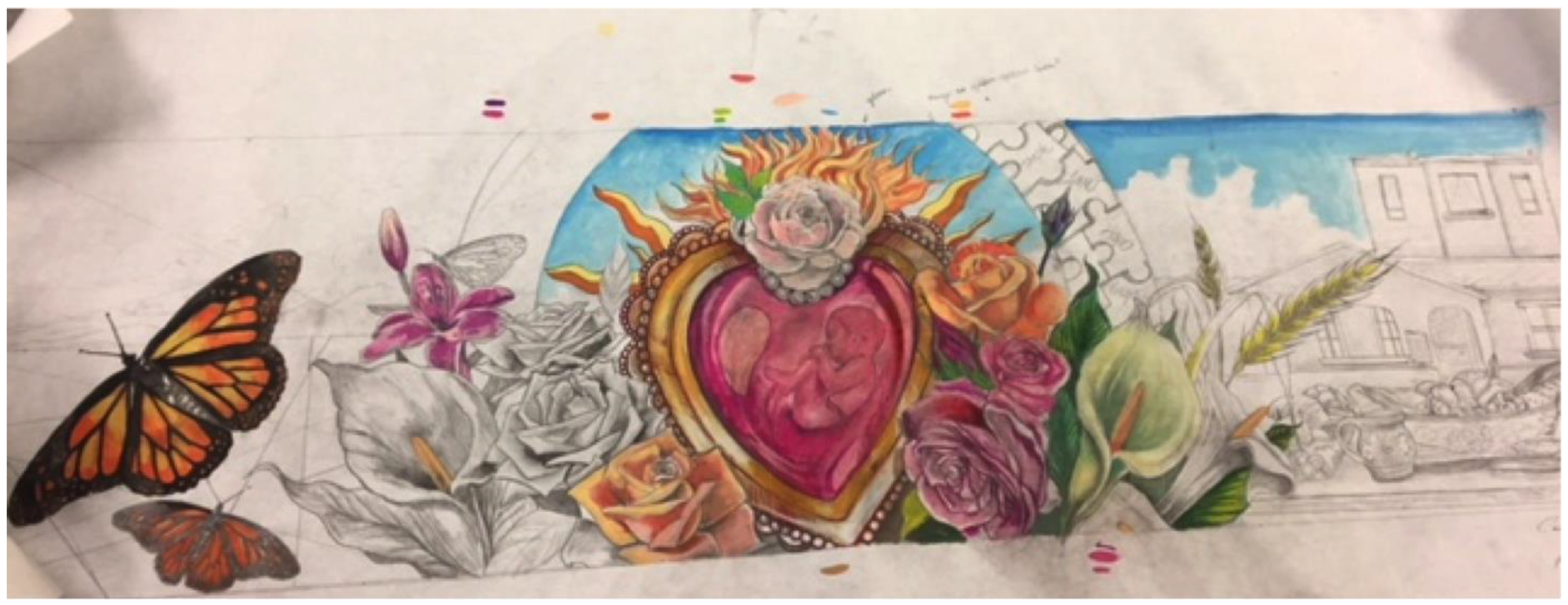 Socsci 14 00025 g001