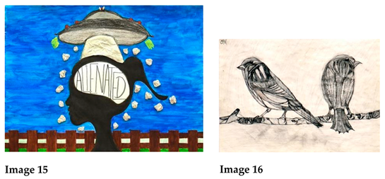 Socsci 14 00062 i010