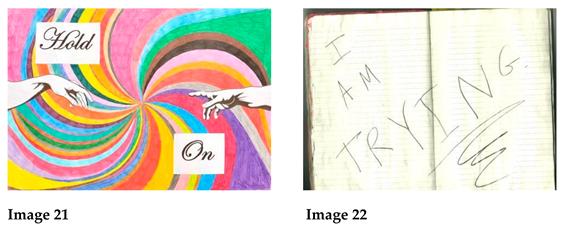 Socsci 14 00062 i013