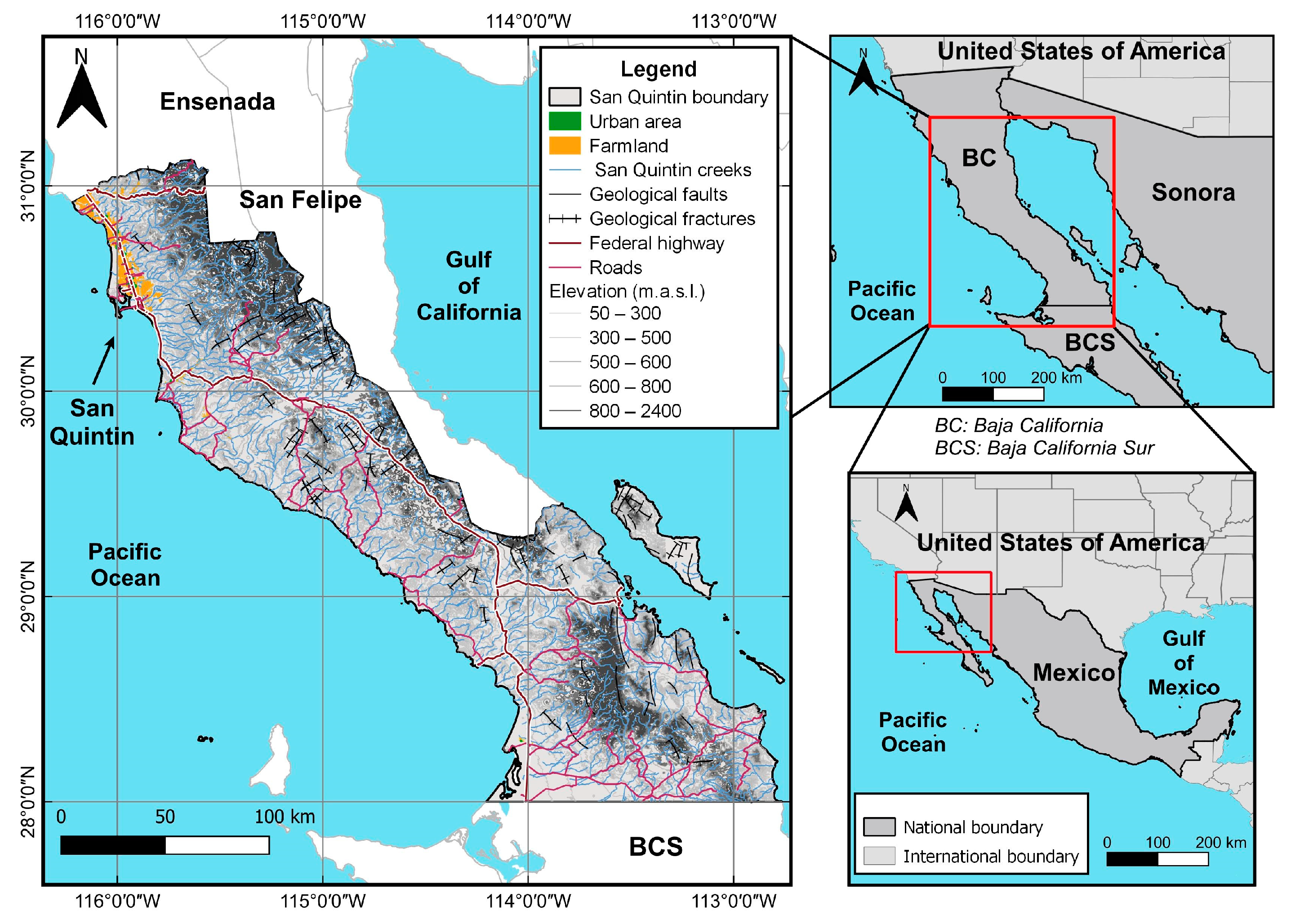 Socsci 14 00110 g004