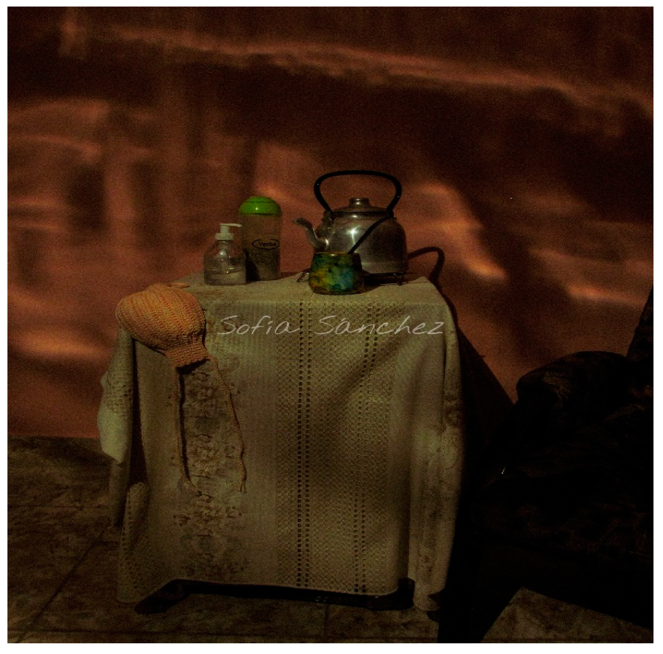 Socsci 14 00135 g002