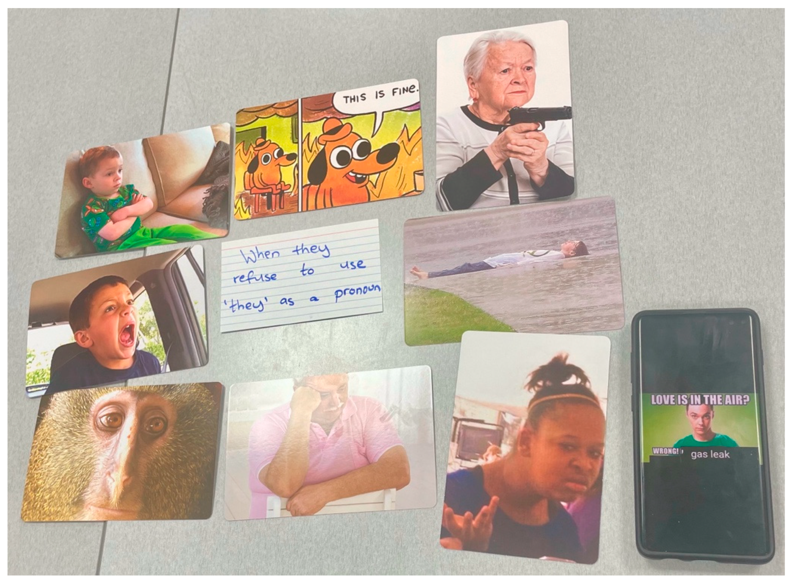 Socsci 14 00202 g001b