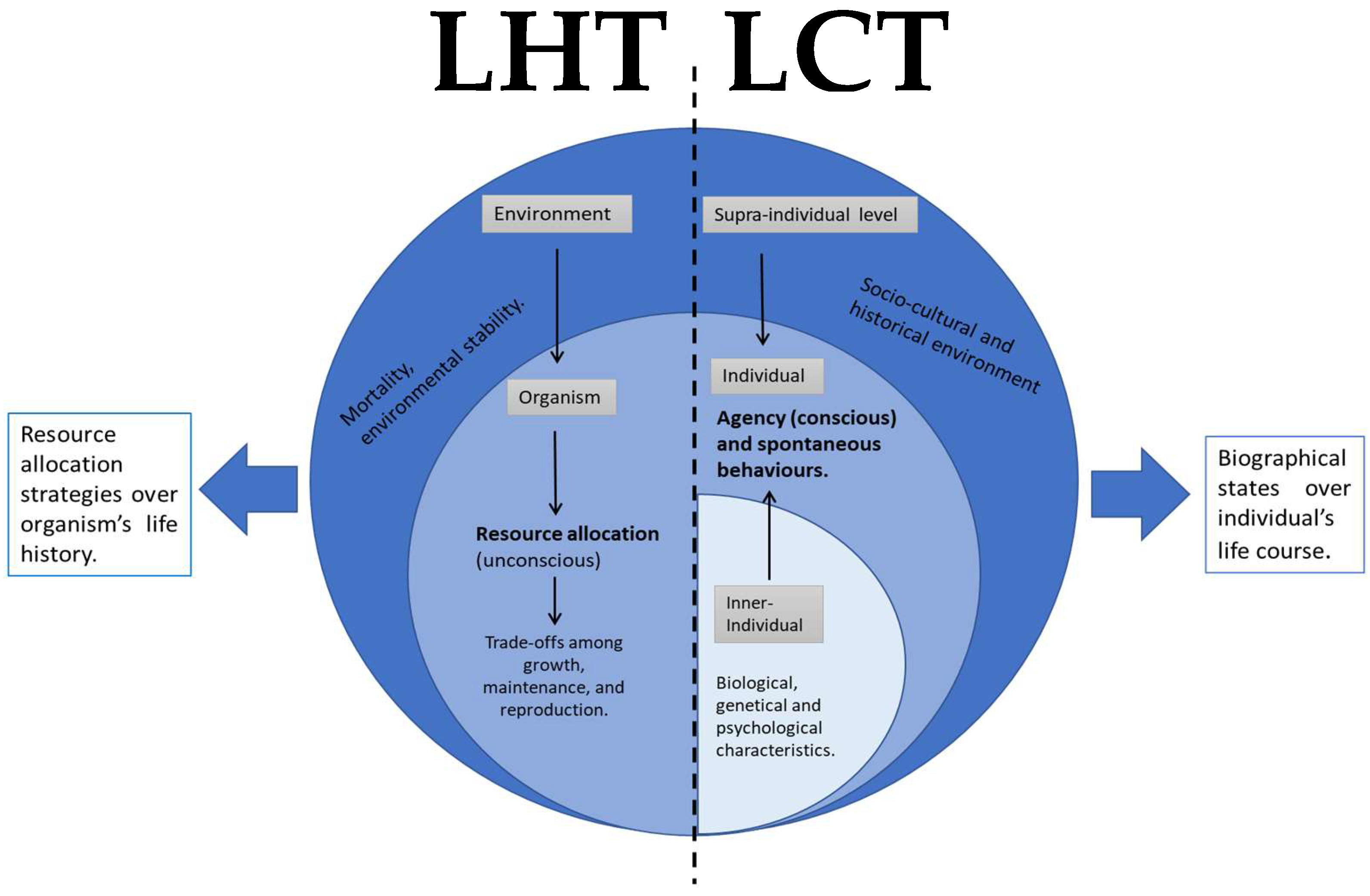 Socsci 14 00203 g001 Socsci 14 00203 g001