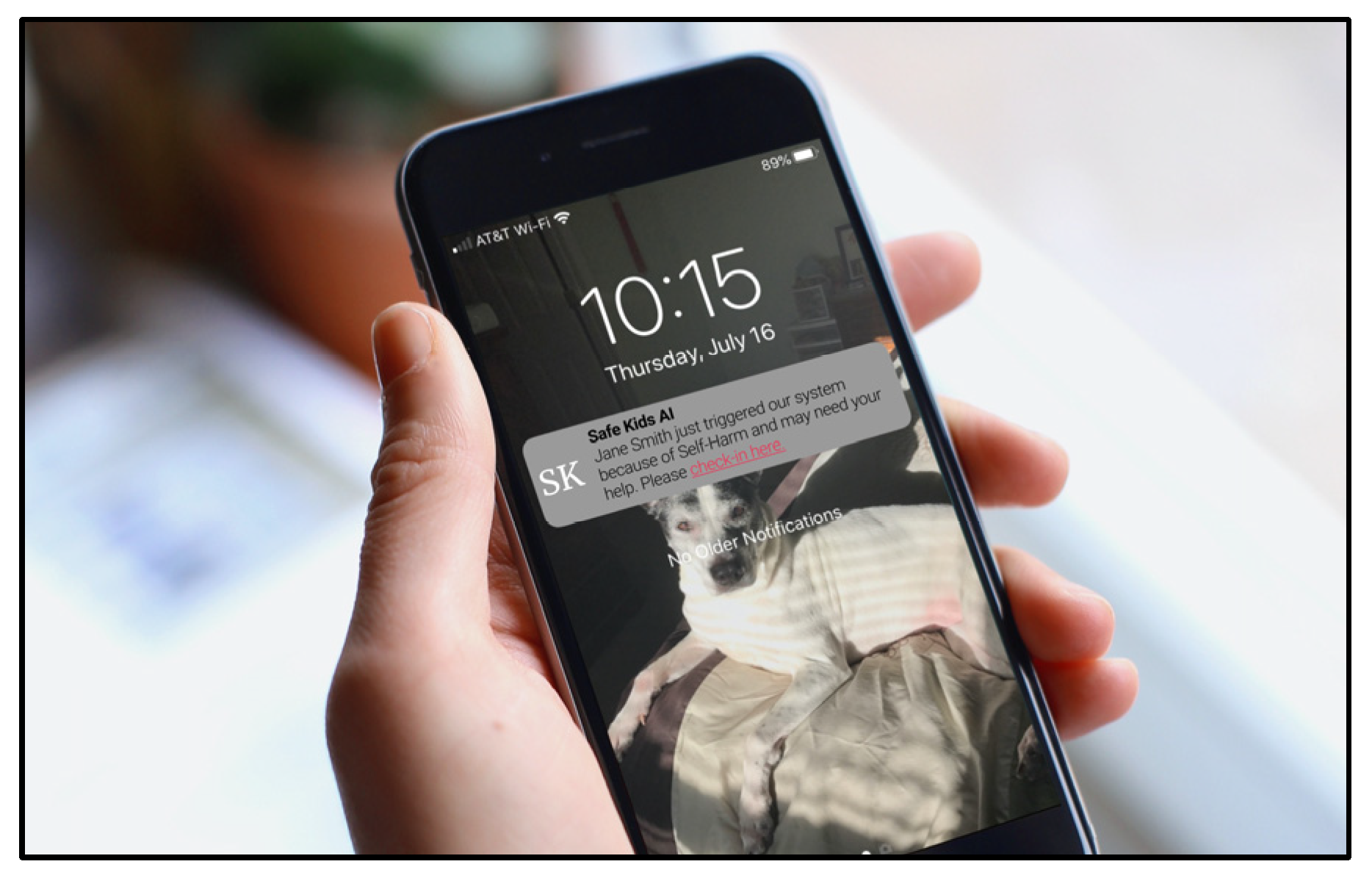 Socsci 14 00302 g007