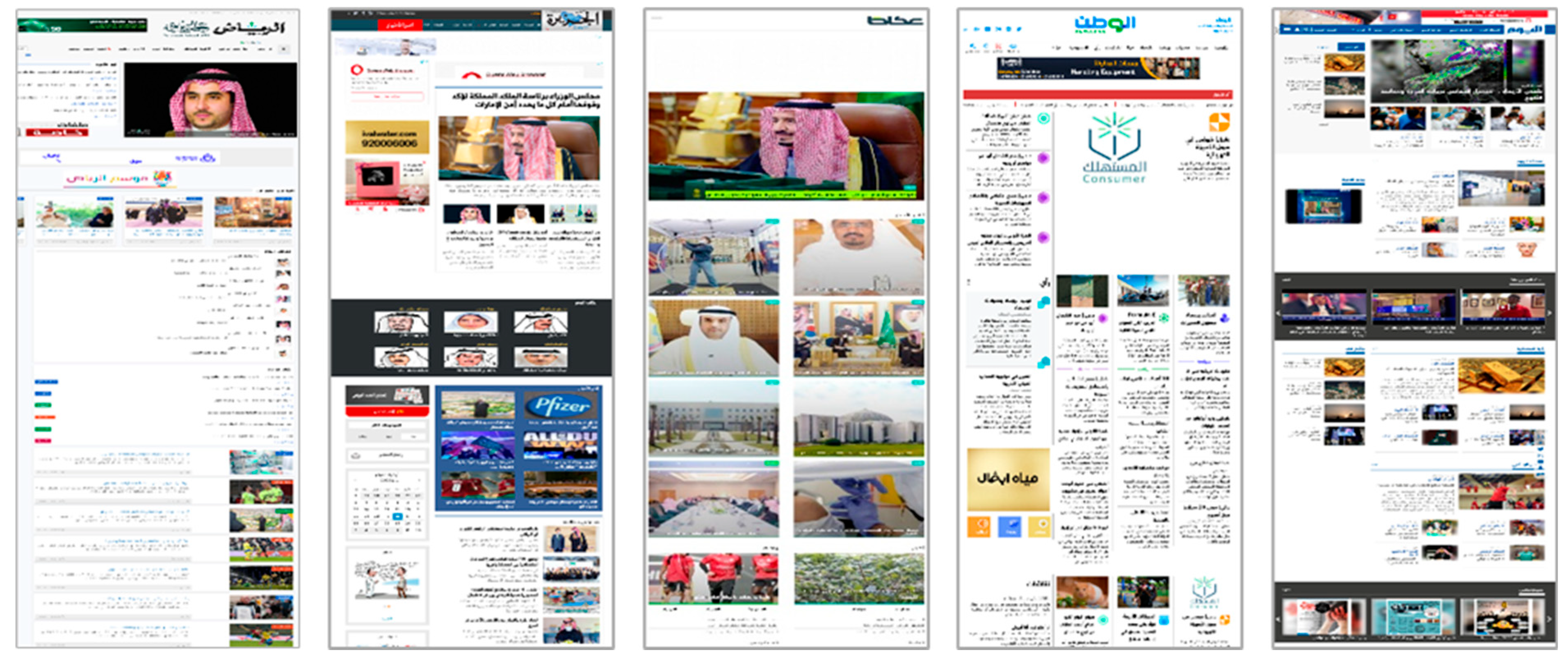 Socsci 14 00353 g002