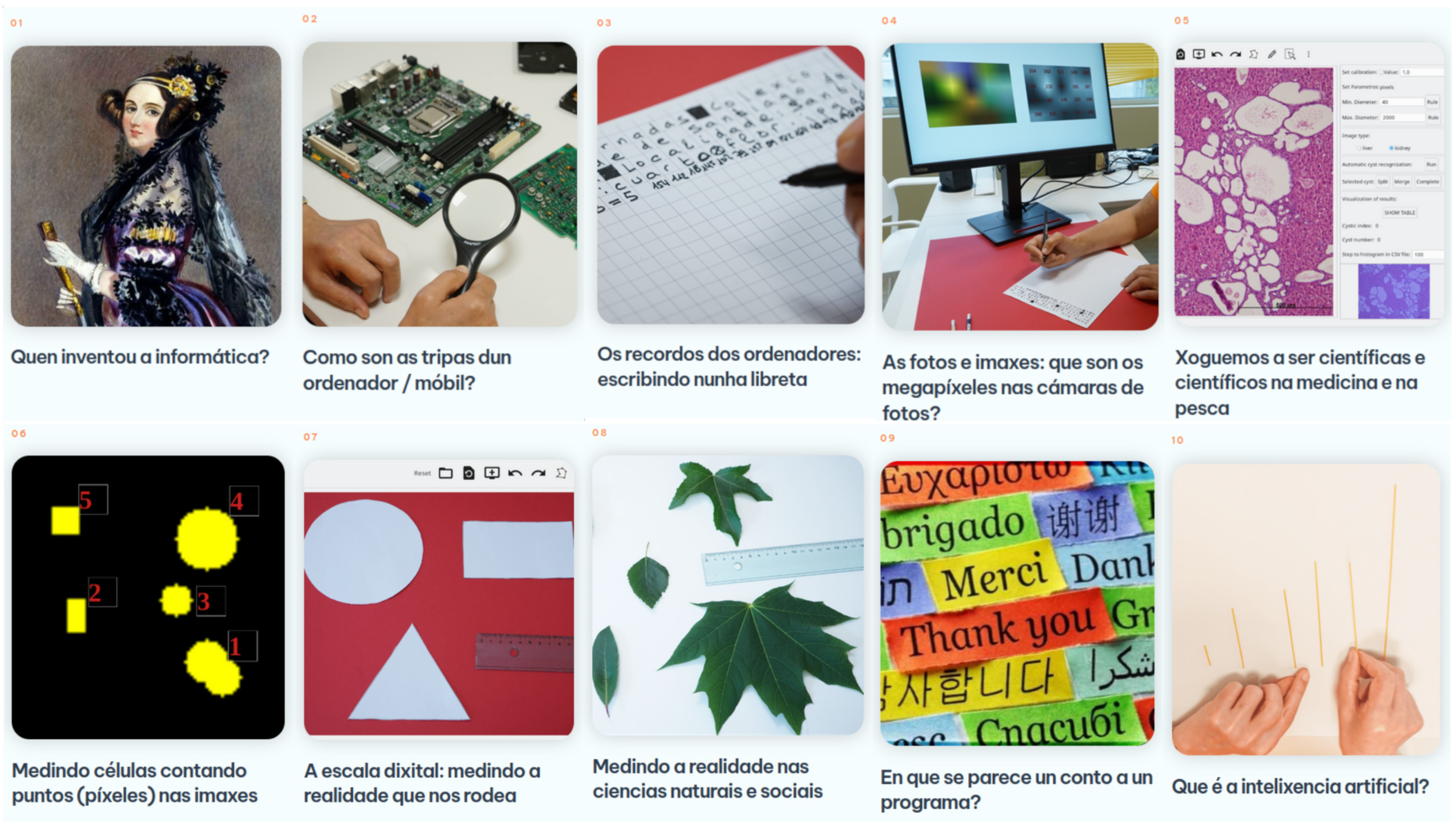 Socsci 14 00384 g001