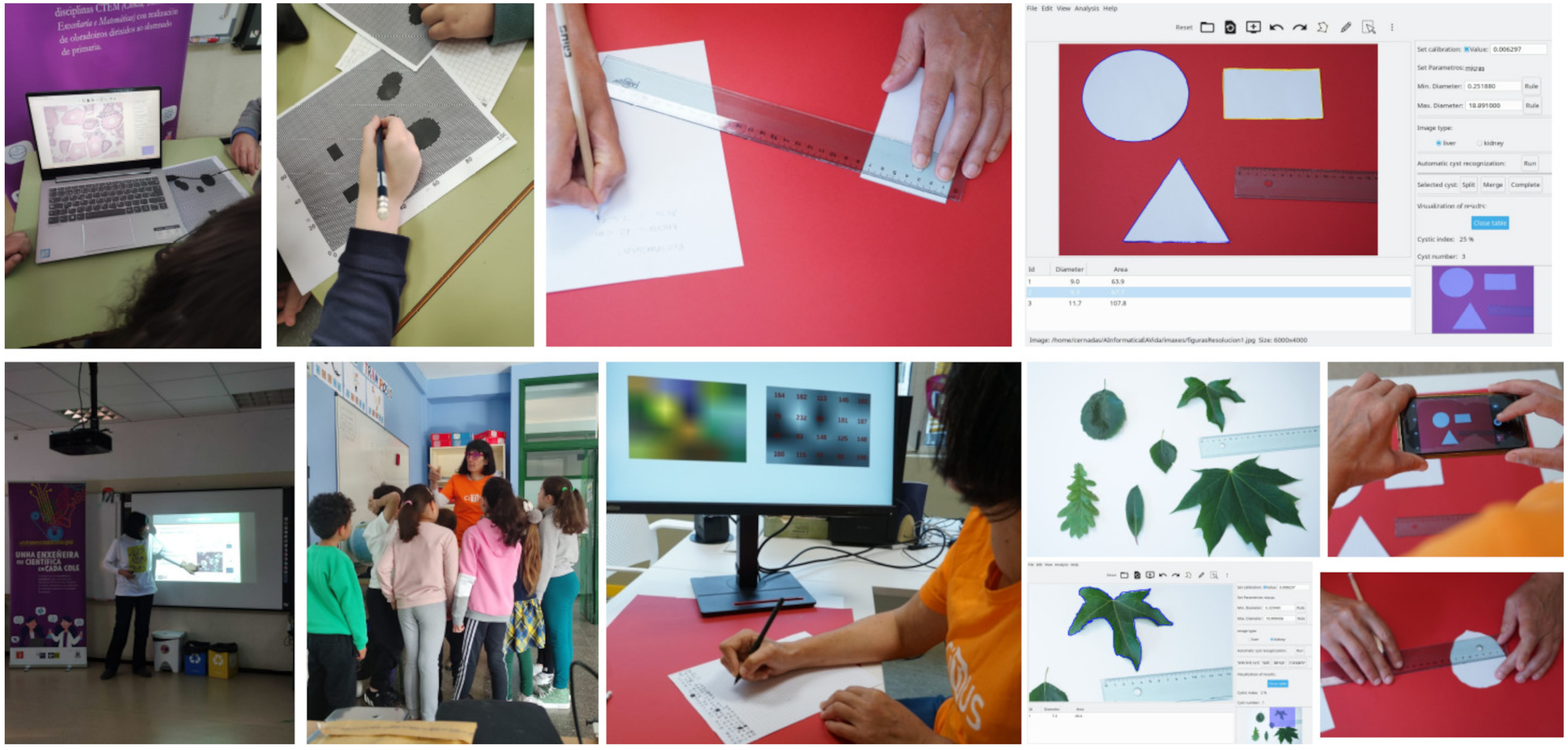 Socsci 14 00384 g002