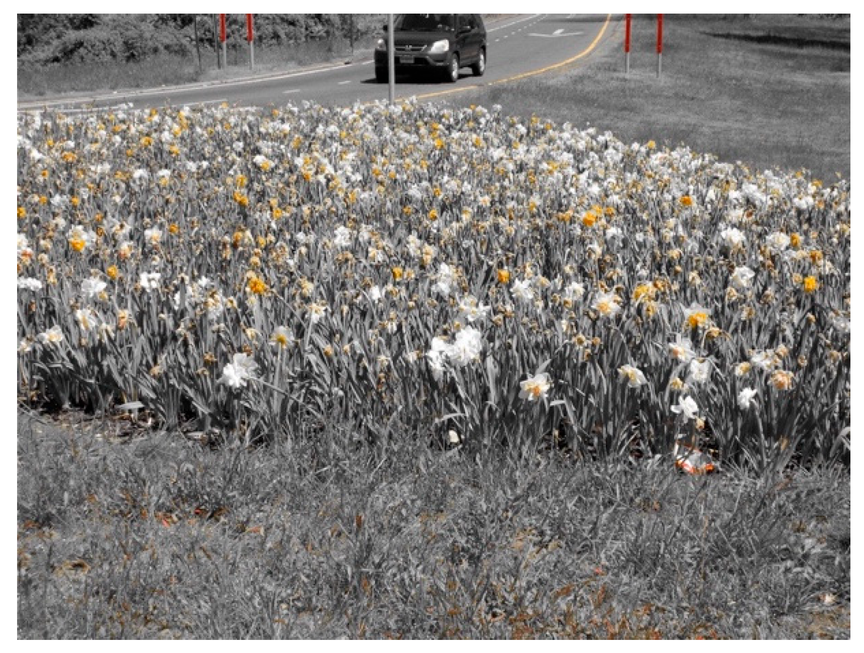 Socsci 14 00411 g001