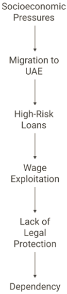 Socsci 14 00465 i001