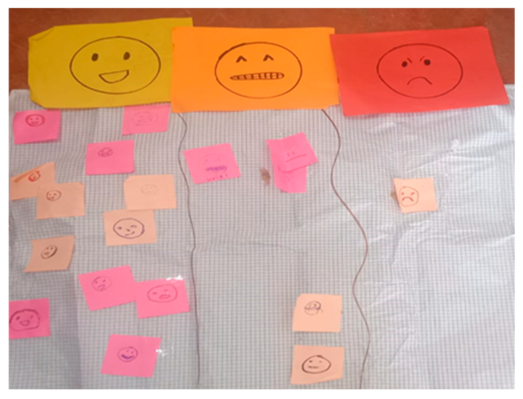 Socsci 14 00518 g002