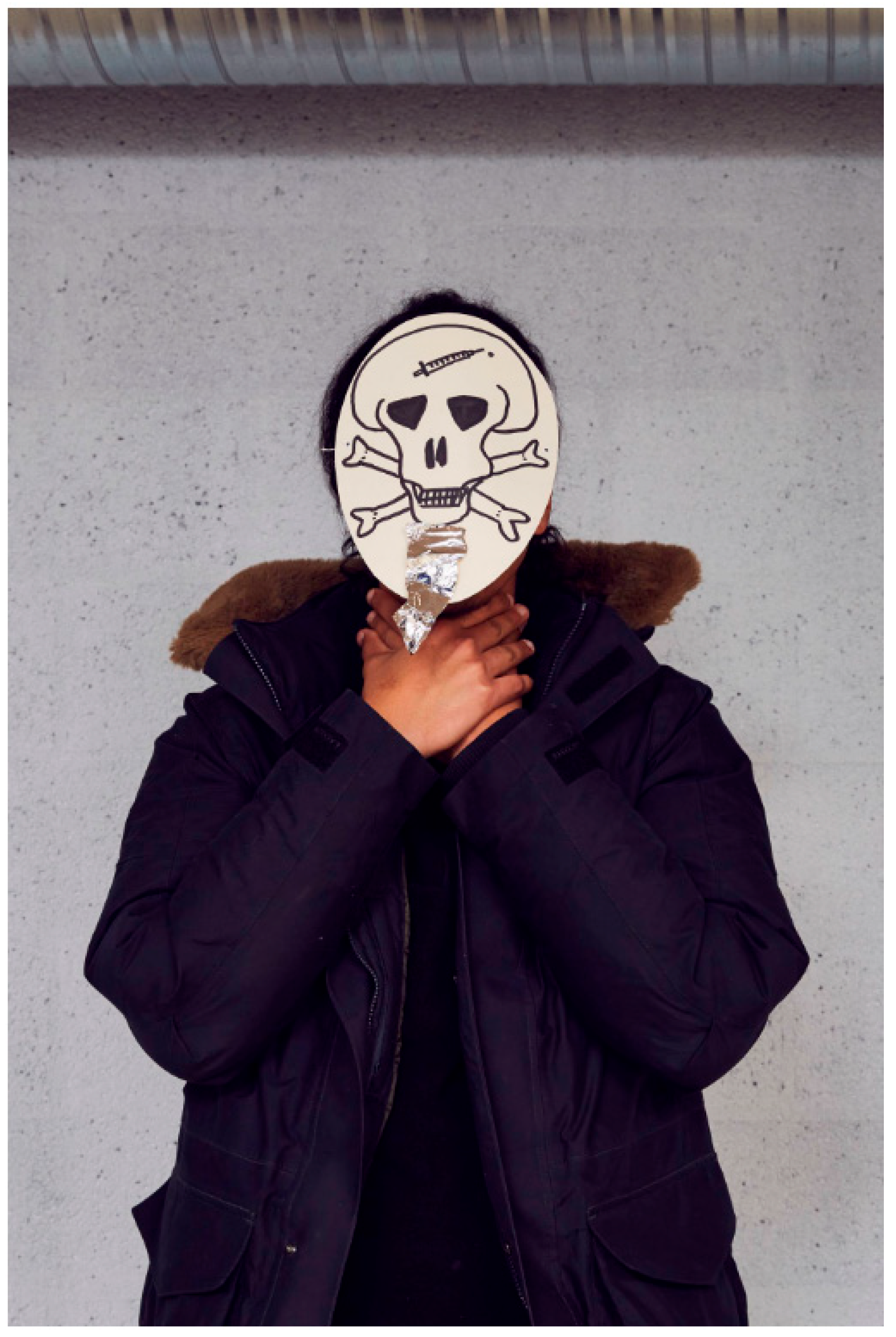 Socsci 14 00553 g013