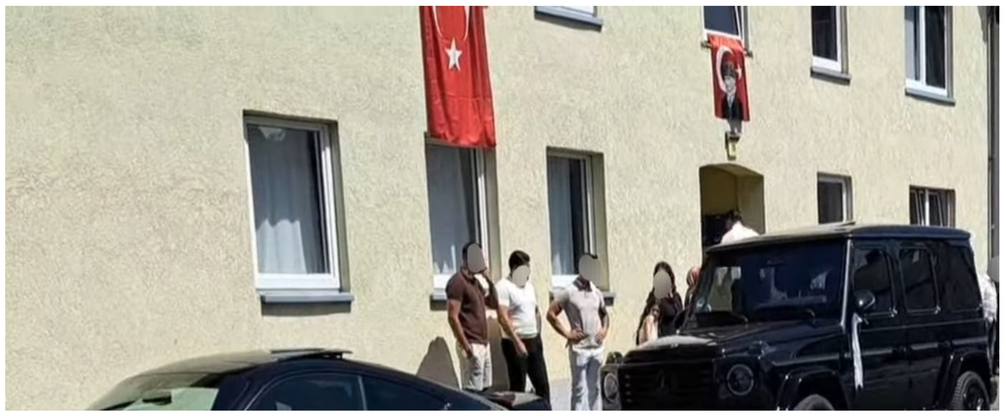 Socsci 14 00614 g001