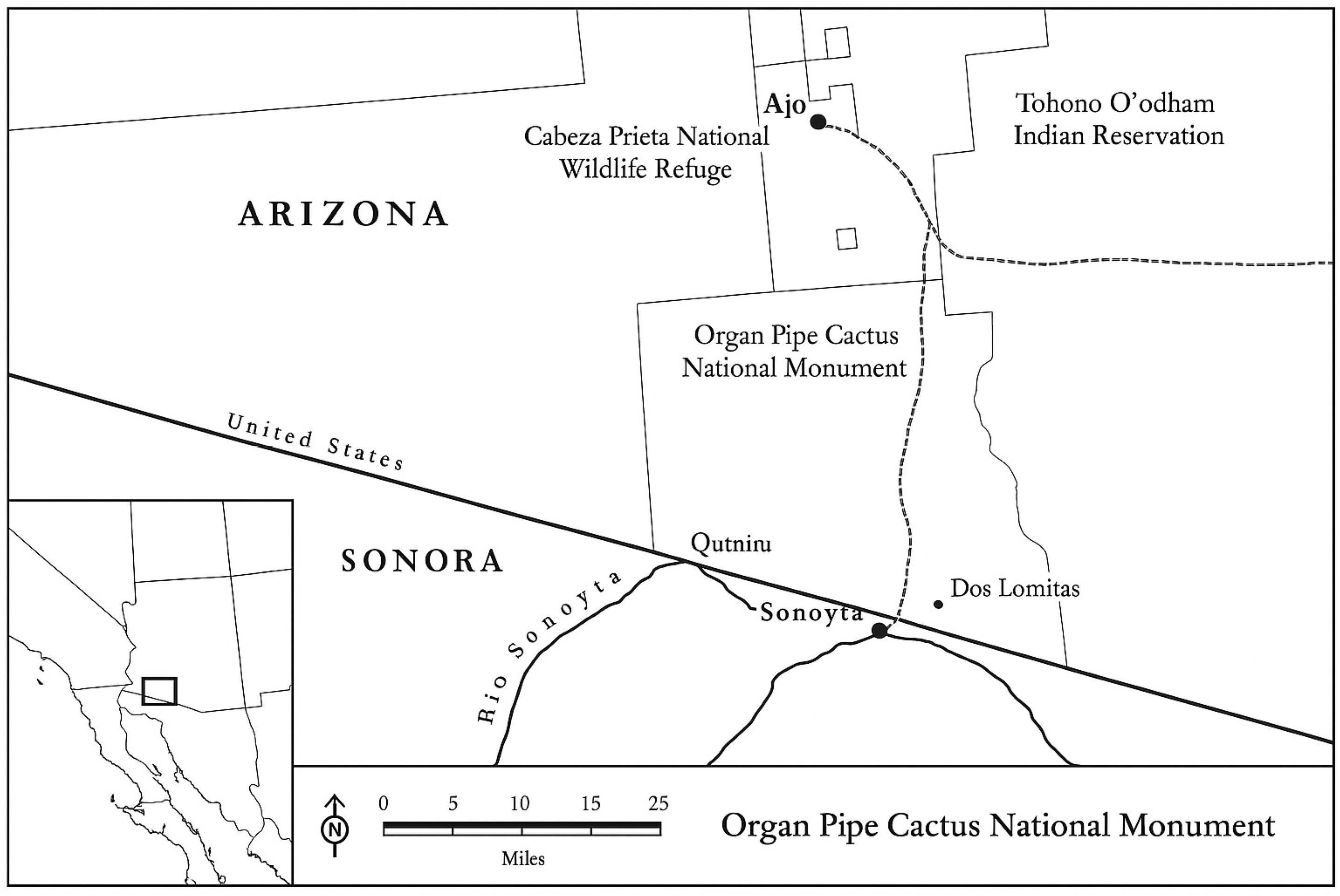 Socsci 14 00617 g001