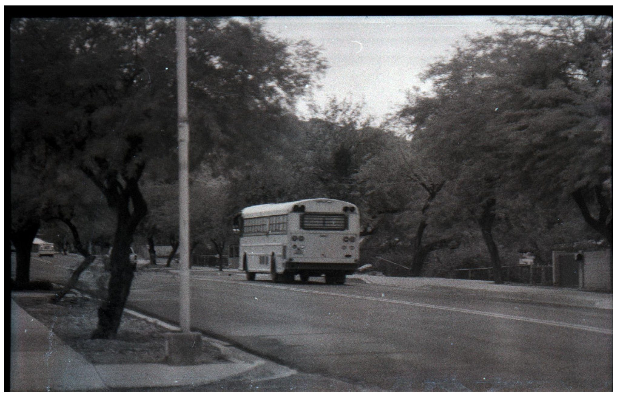 Socsci 14 00617 g002