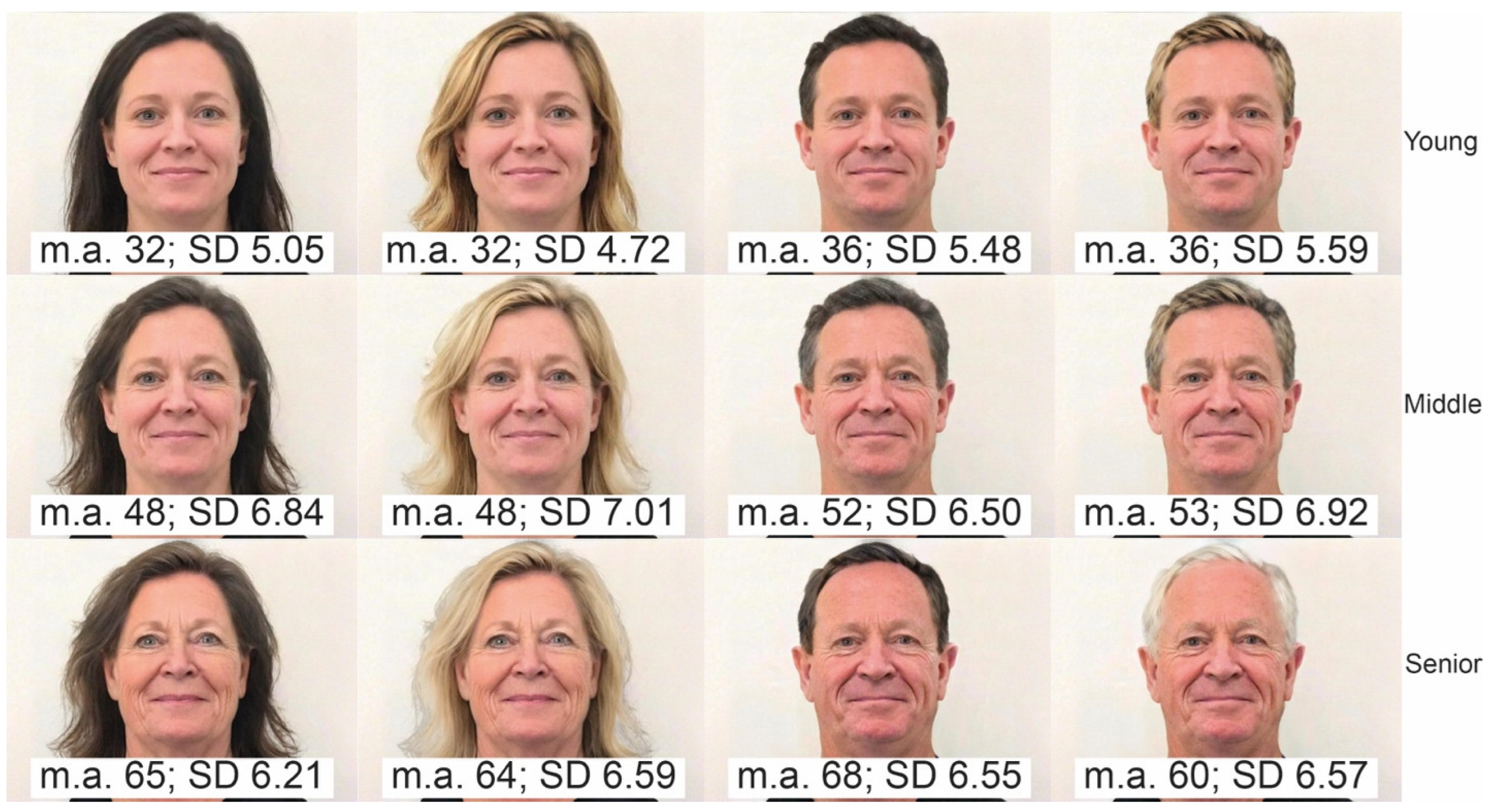 Socsci 14 00628 g001