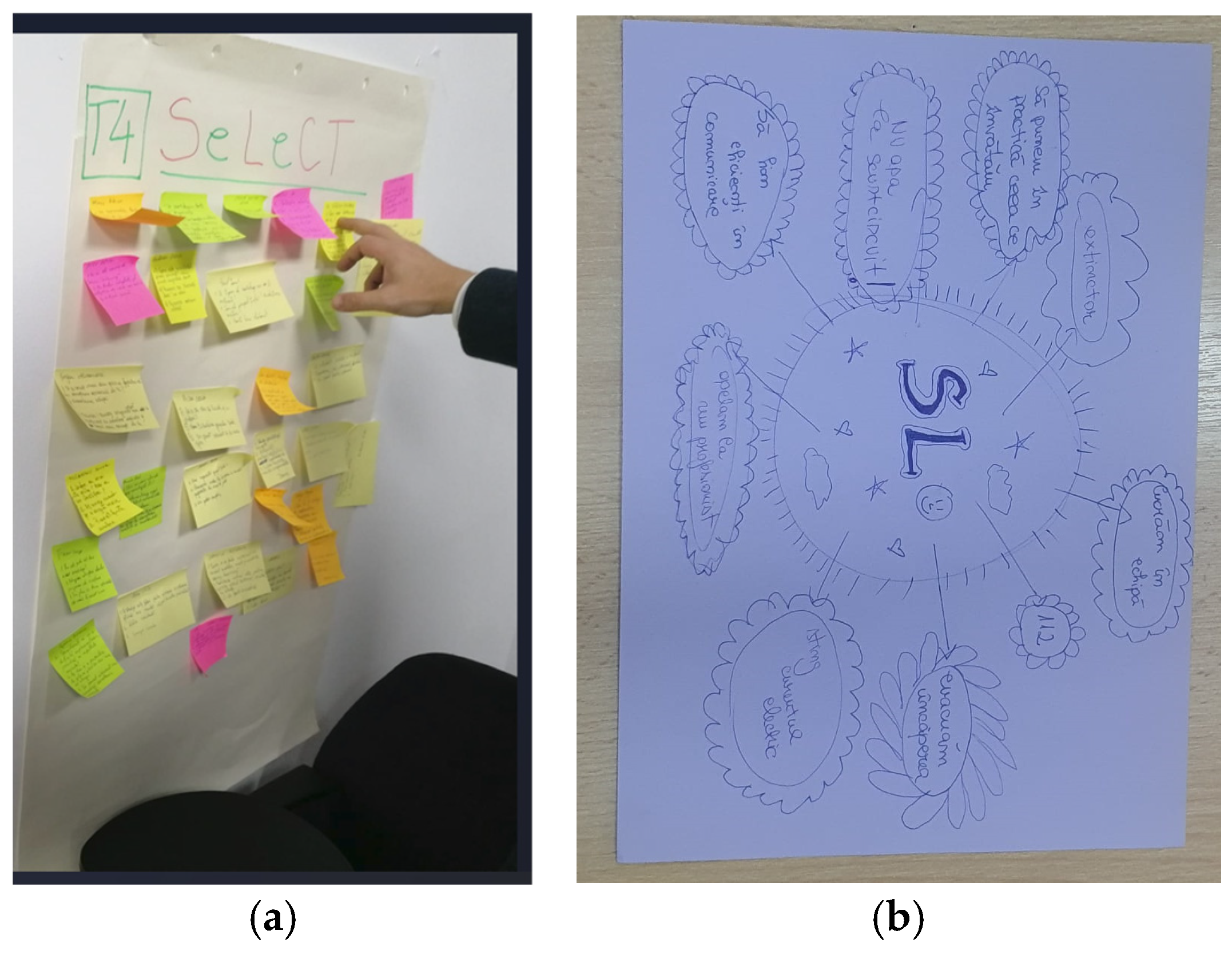 Socsci 14 00671 g003