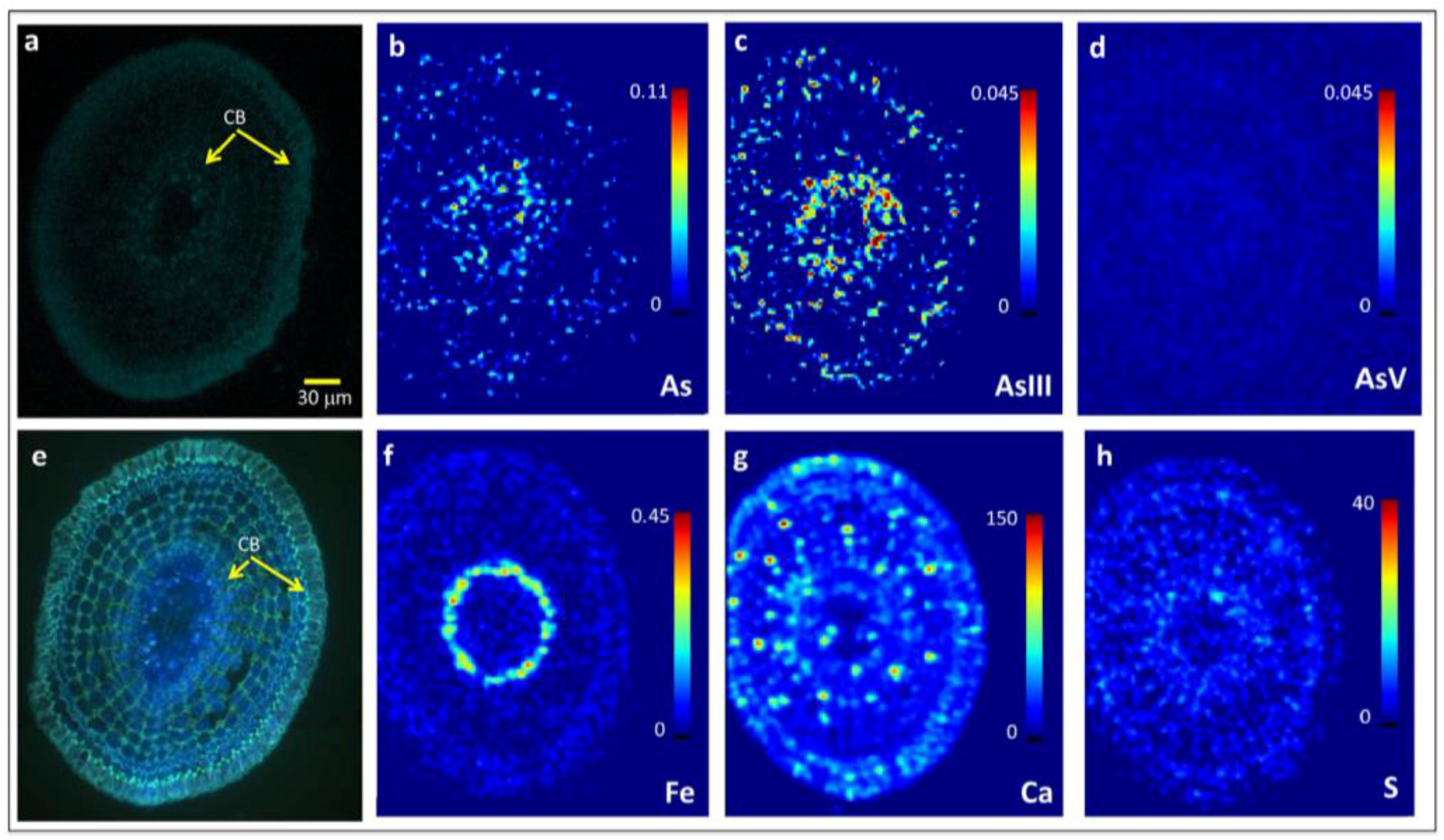 Soils 01 00003 g004 Soils 01 00003 g004