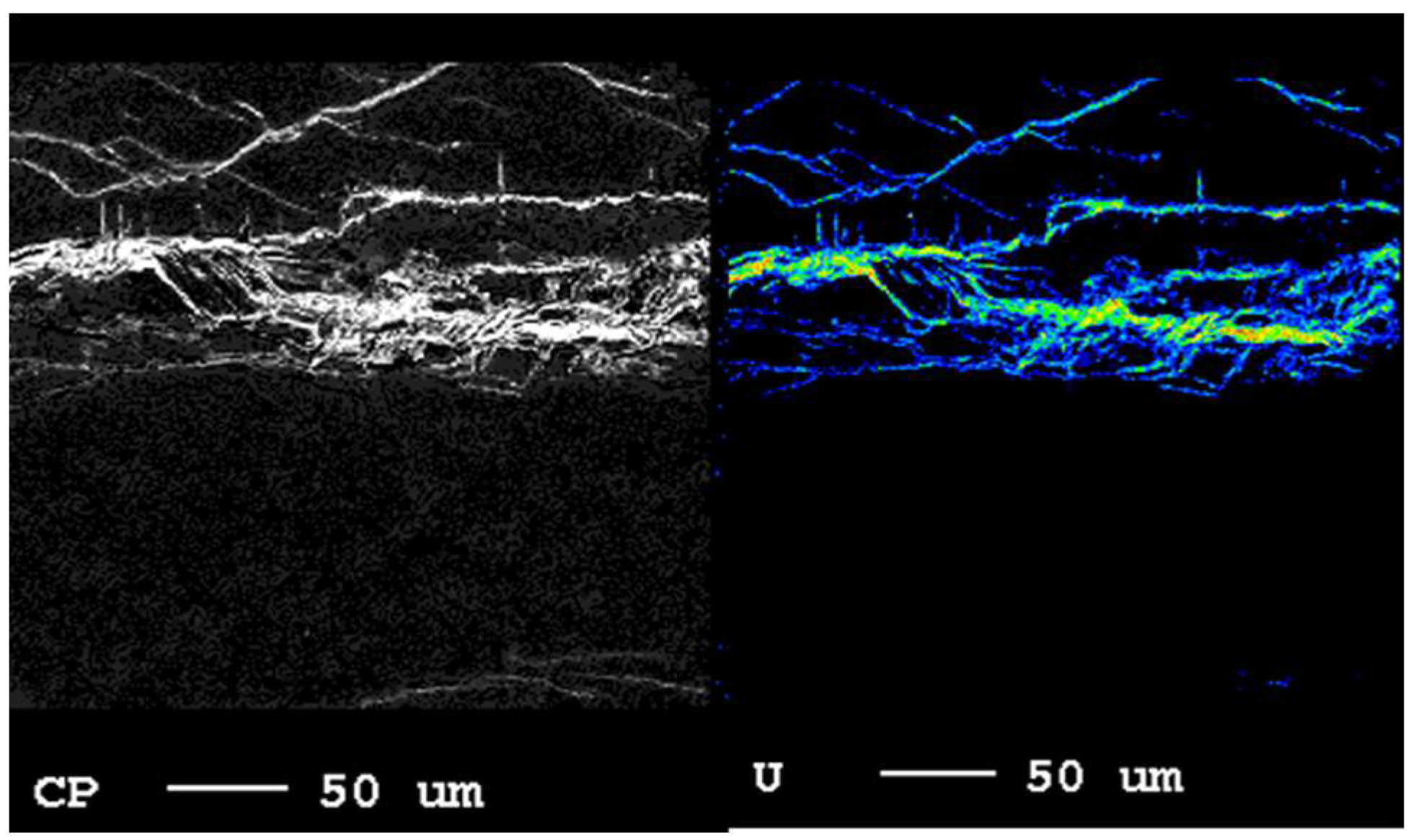 Soilsystems 02 00030 g003