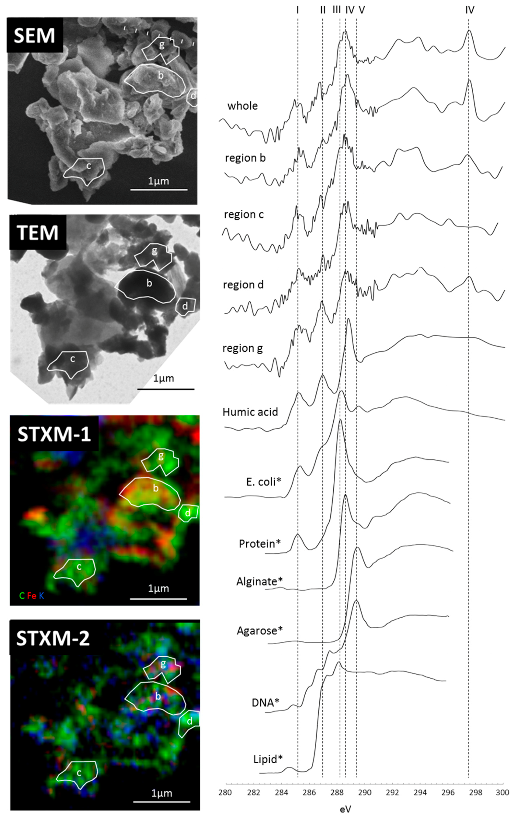 Soil Systems Free FullText In Search of a Binding Agent Nano
