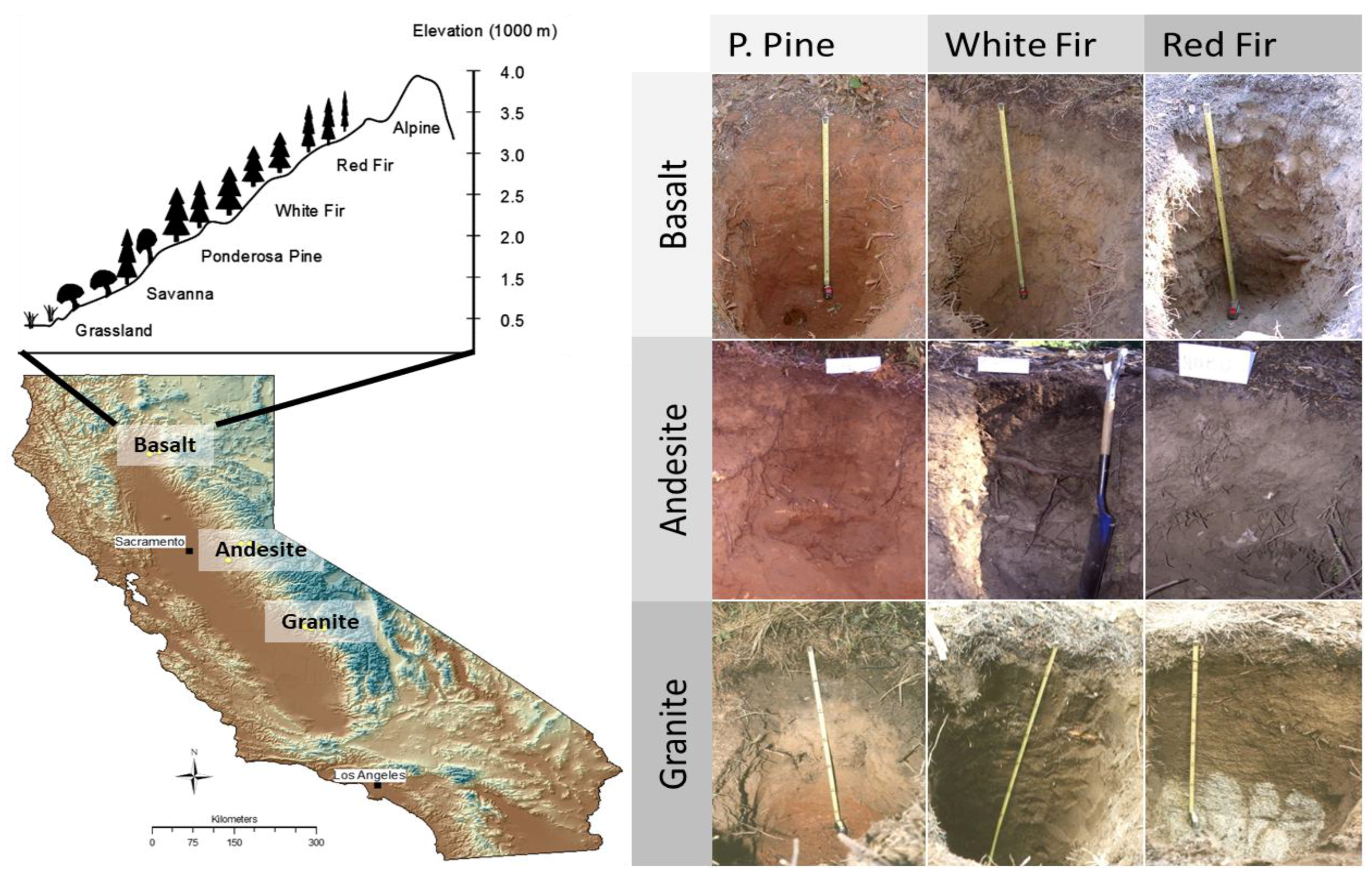 Soil Systems, Free Full-Text