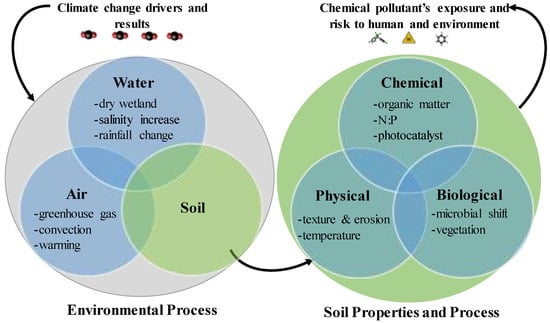 Chapter 2 Contaminants as Tracers for Studying Dynamics of Soil