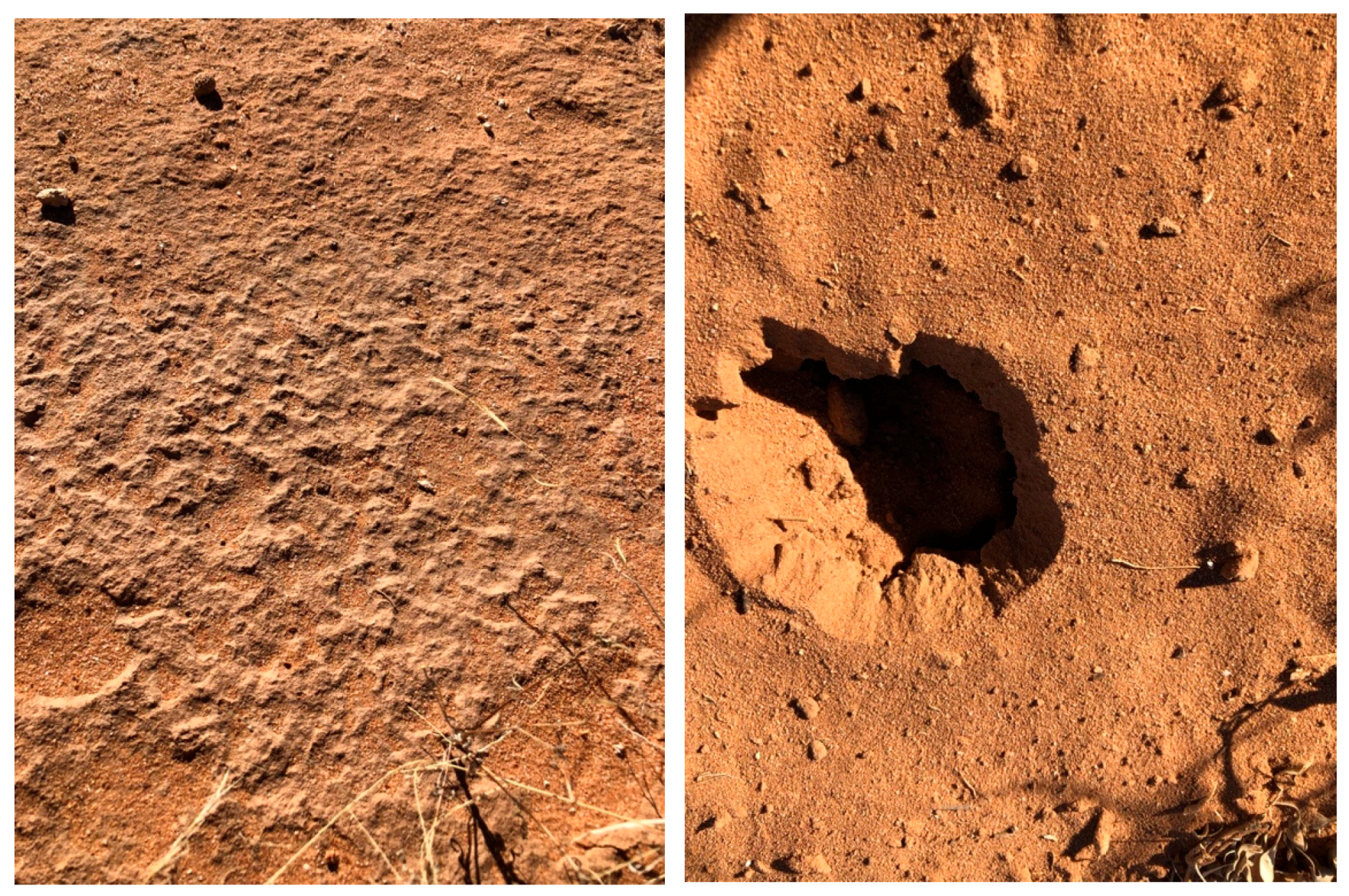 Soilsystems 02 00056 g001 Soilsystems 02 00056 g001