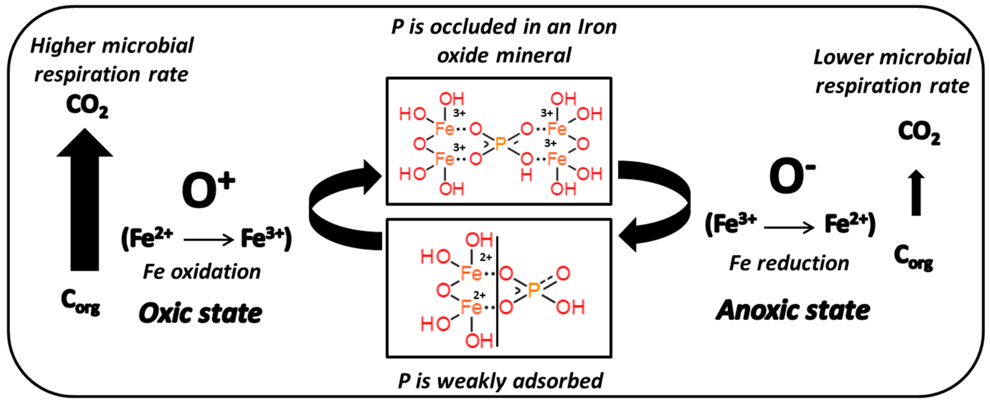 Soilsystems 02 00065 g001