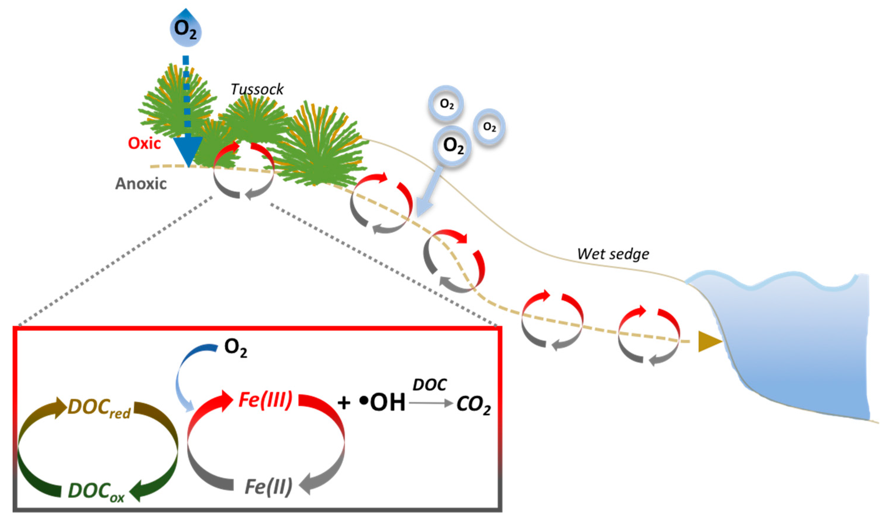 Soil Systems Free FullText The Controls of Iron and Oxygen on