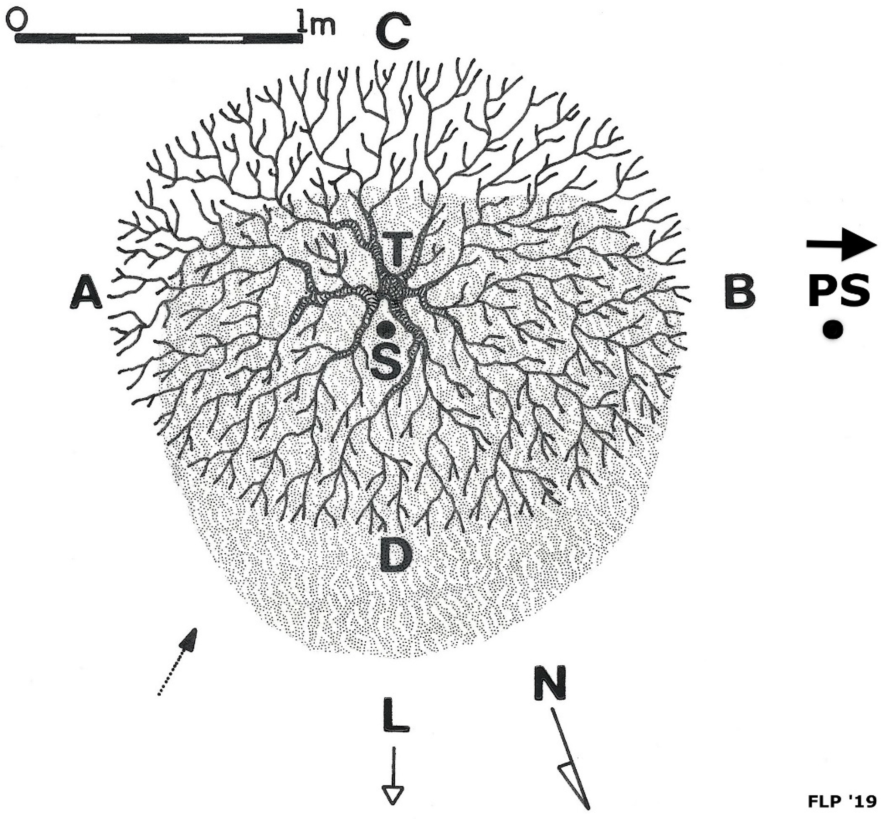 Soilsystems 03 00031 g003