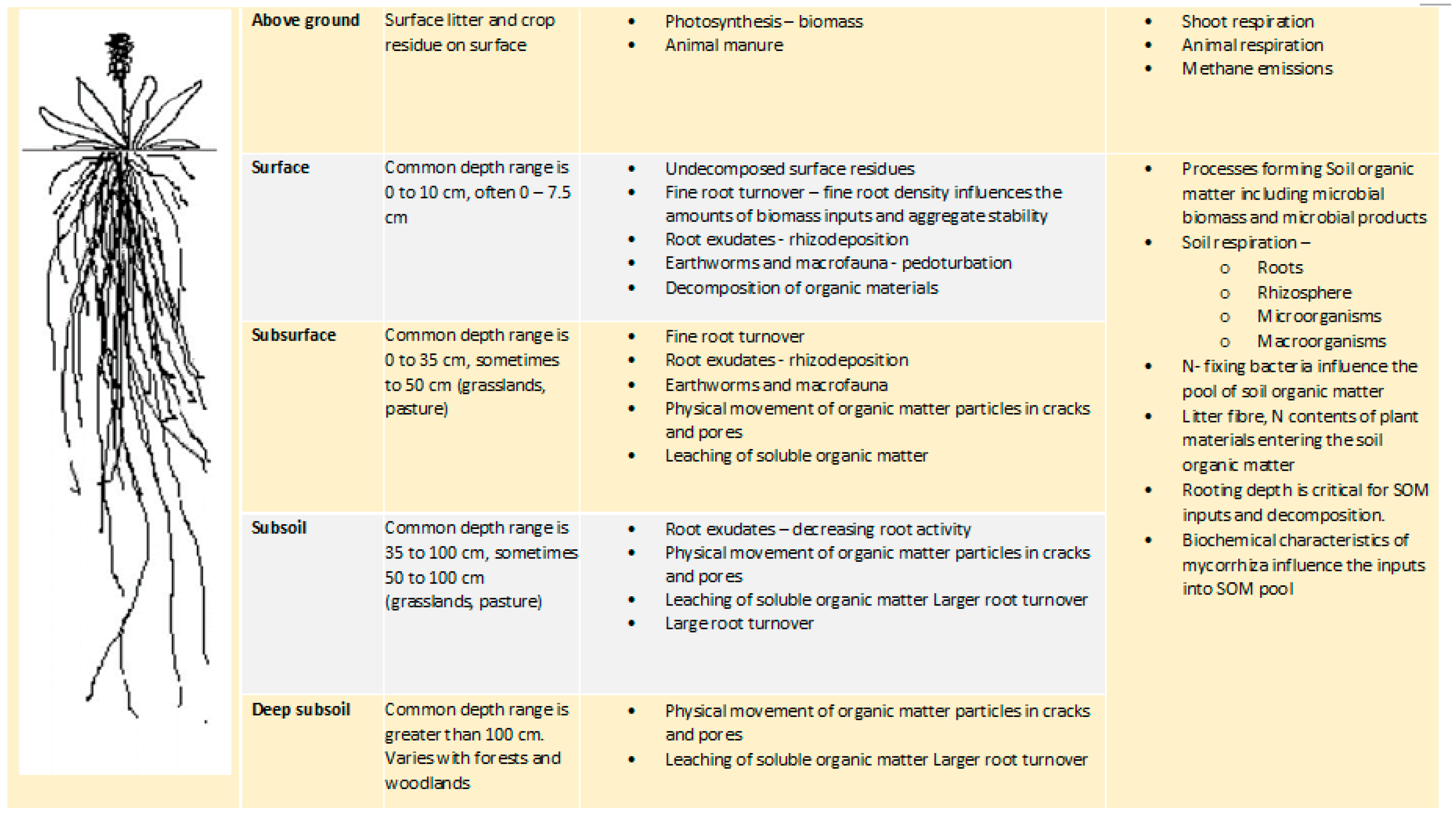 Soilsystems 03 00046 g001