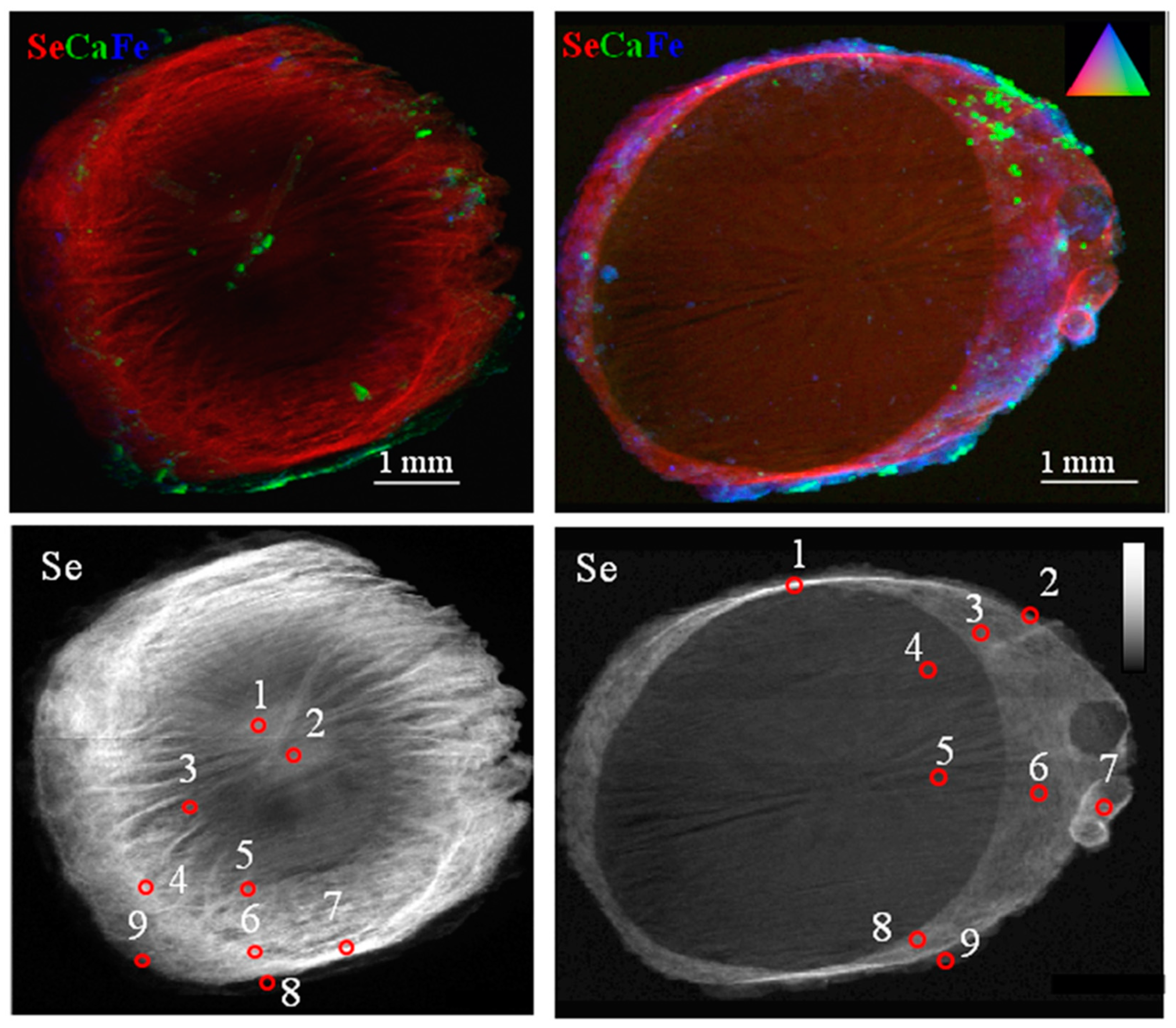 Soilsystems 03 00047 g002