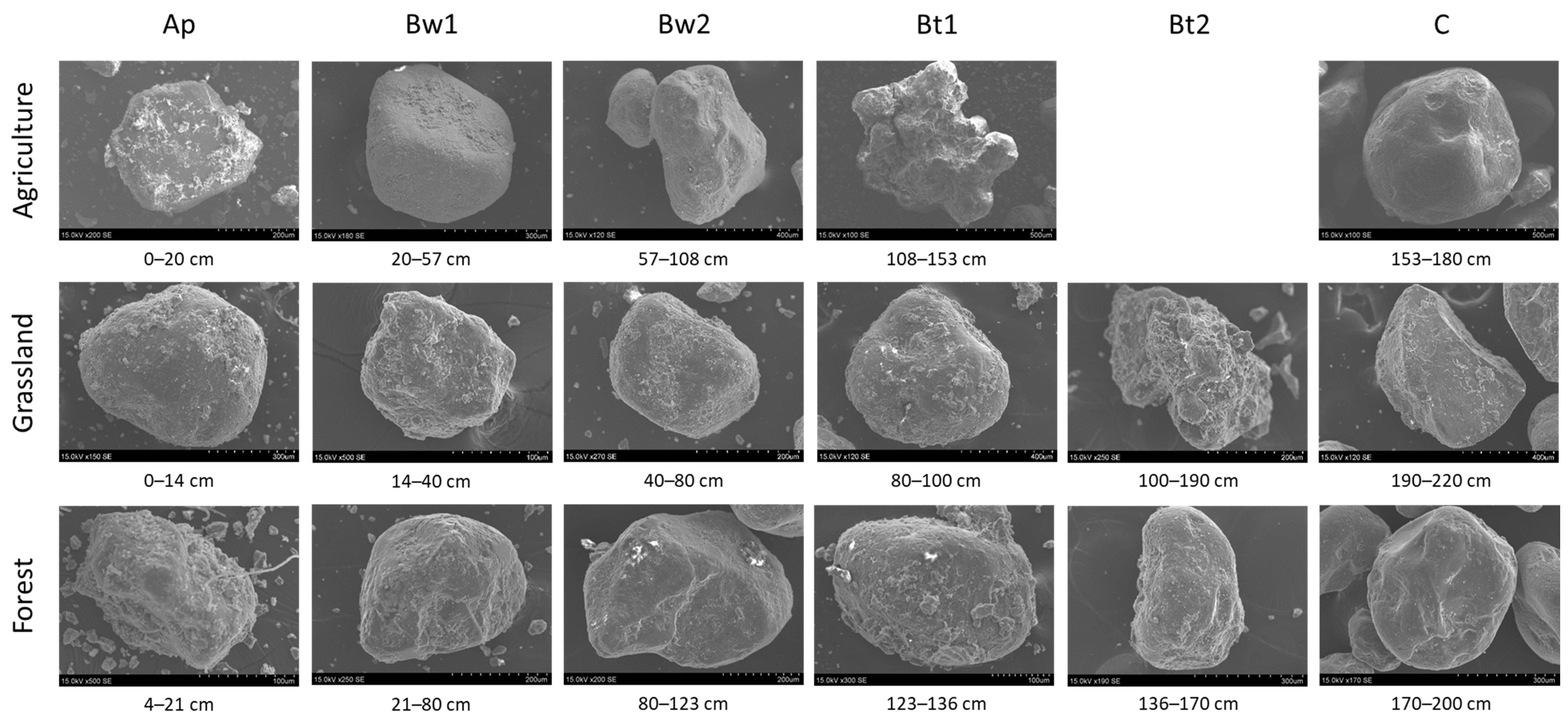 Soilsystems 03 00059 g004