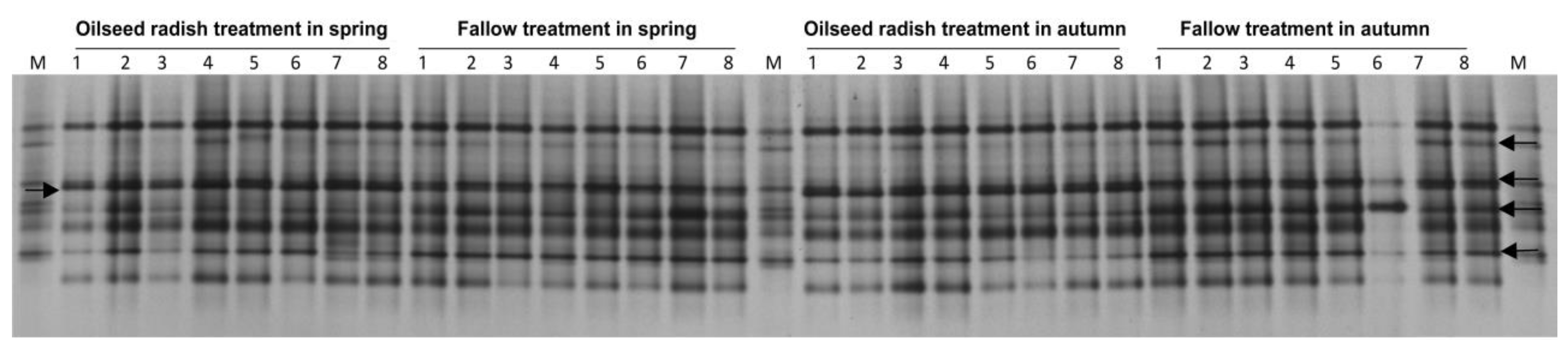 Soilsystems 03 00067 g003