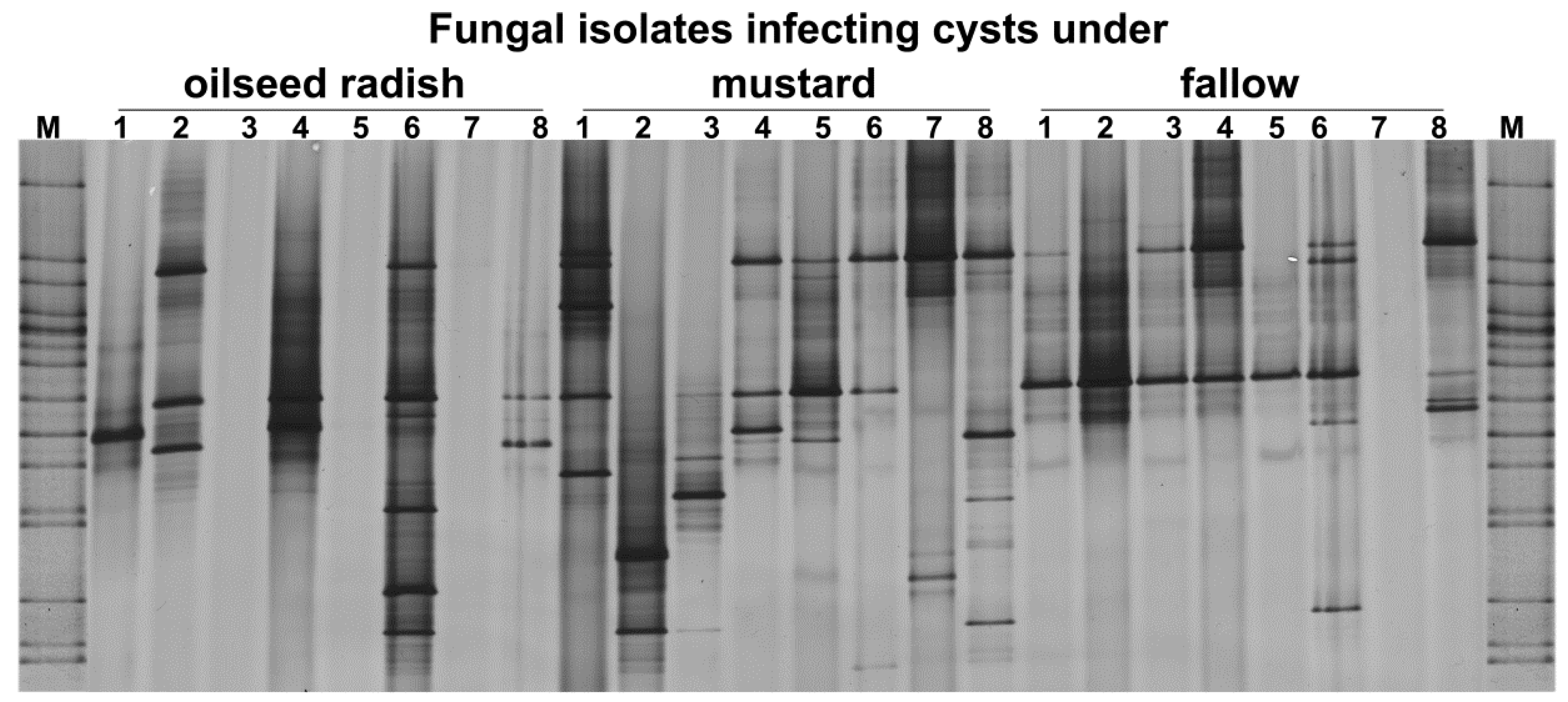 Soilsystems 03 00067 g006