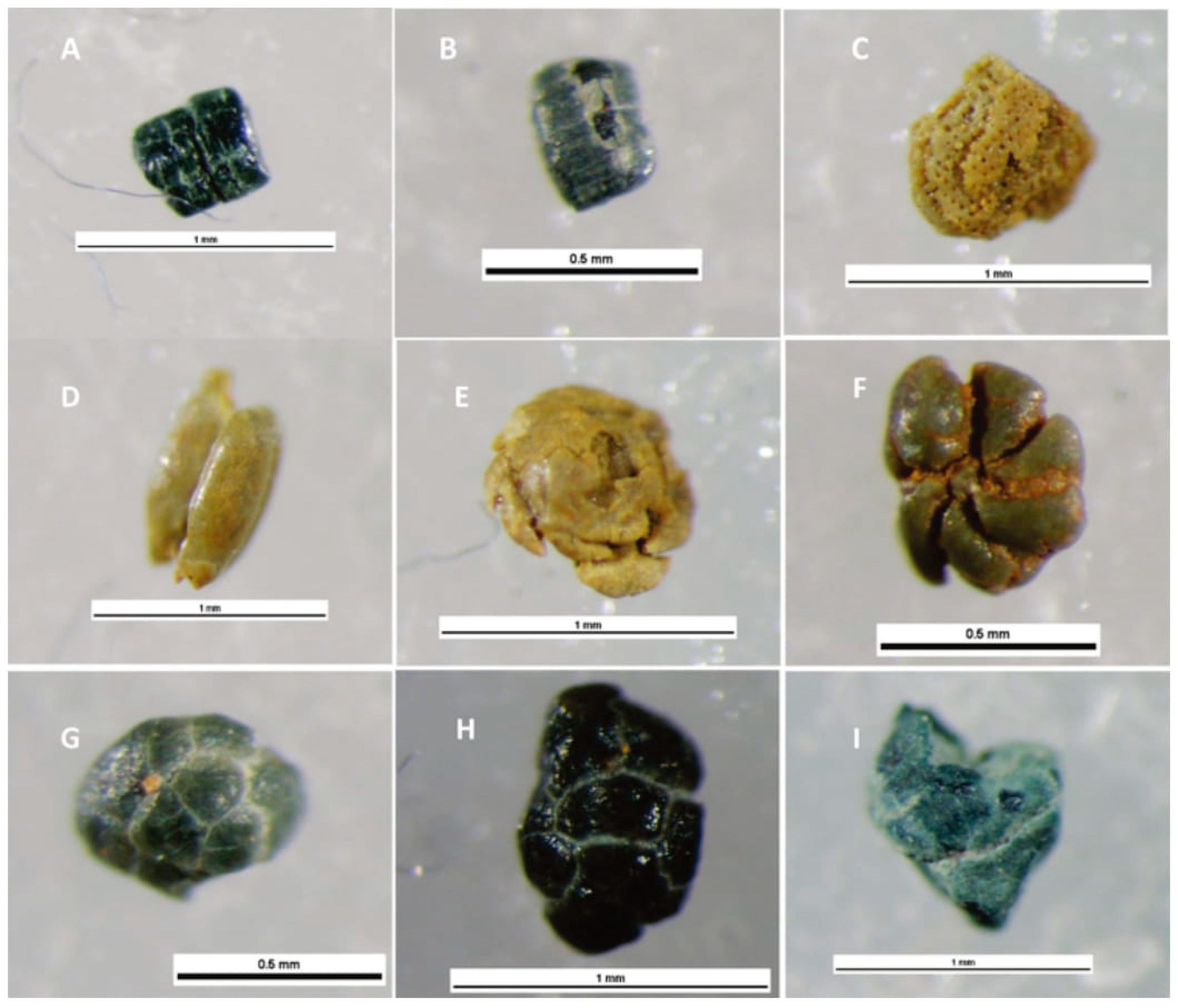 Soilsystems 03 00070 g001 Soilsystems 03 00070 g001