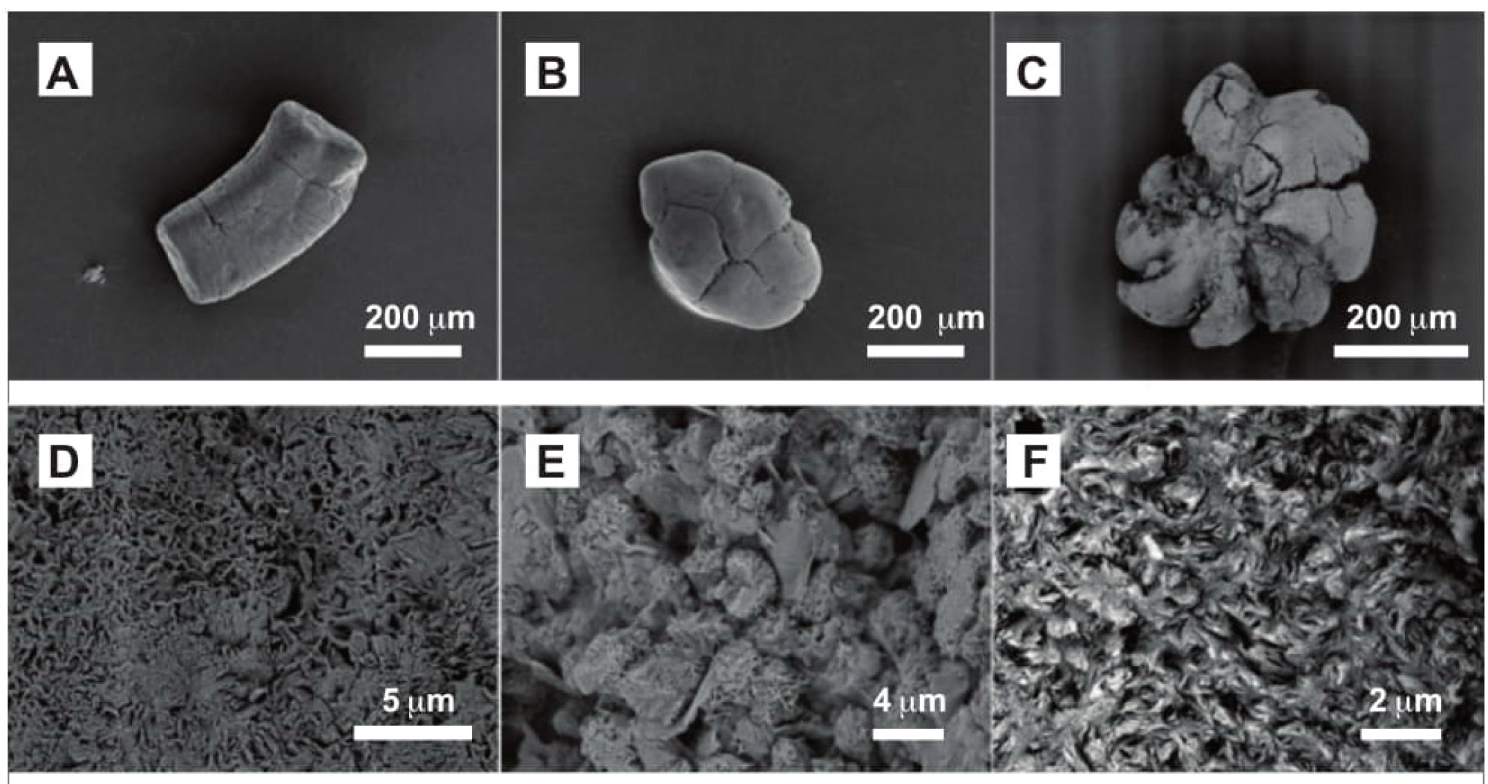 Soilsystems 03 00070 g002 Soilsystems 03 00070 g002