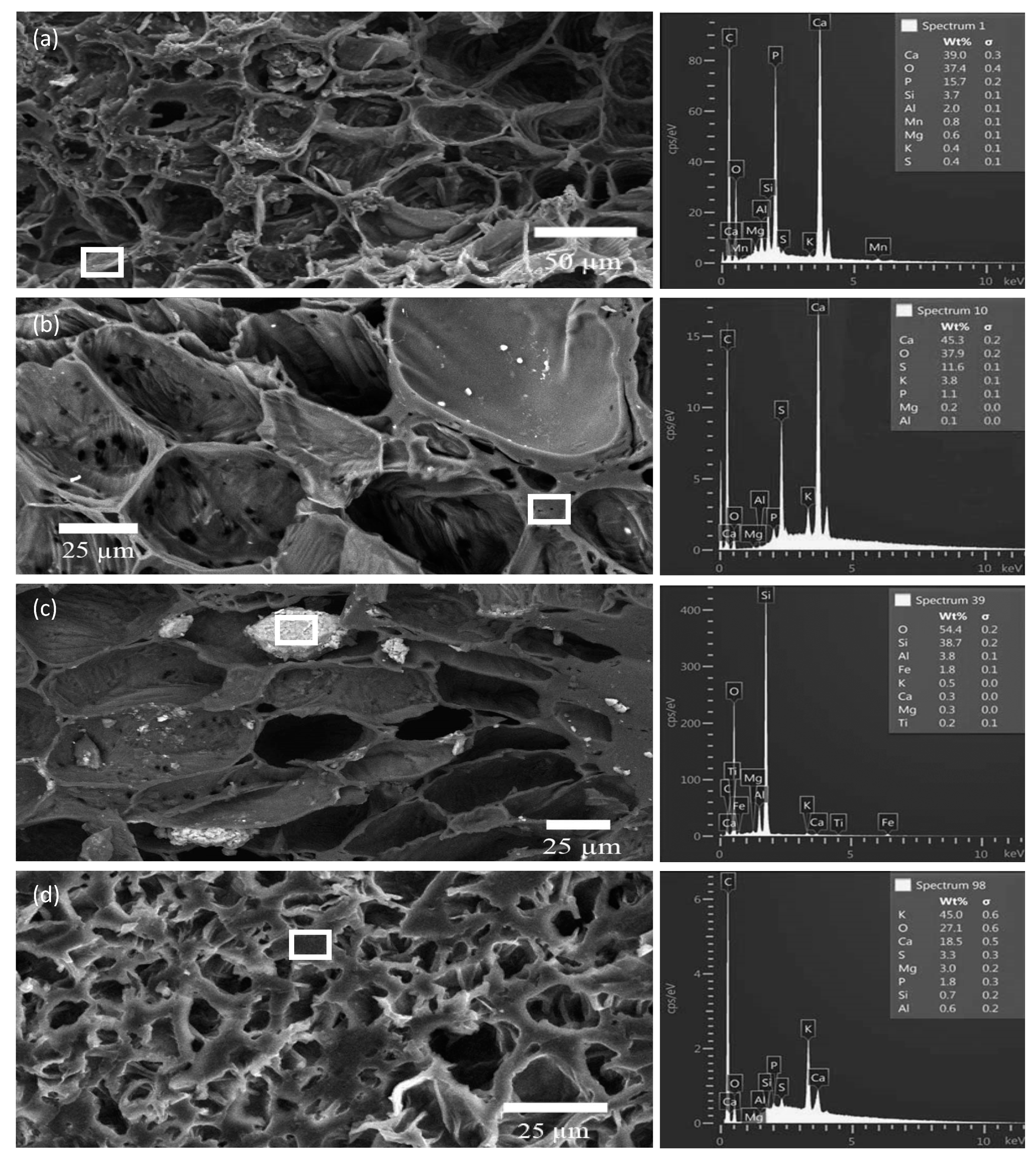 Soilsystems 03 00075 g007