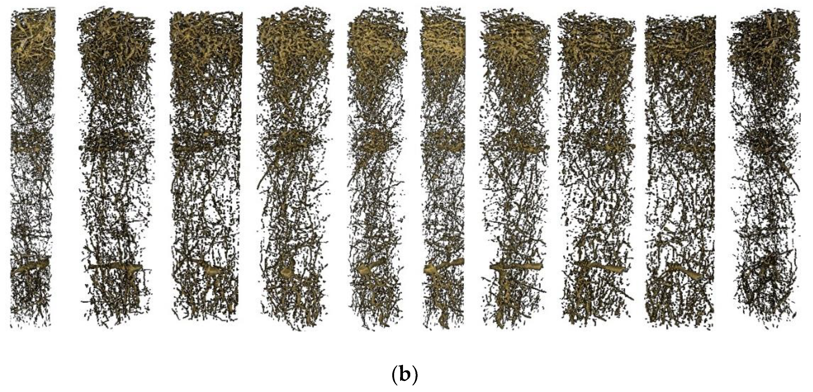 Soilsystems 04 00013 g005b Soilsystems 04 00013 g005b