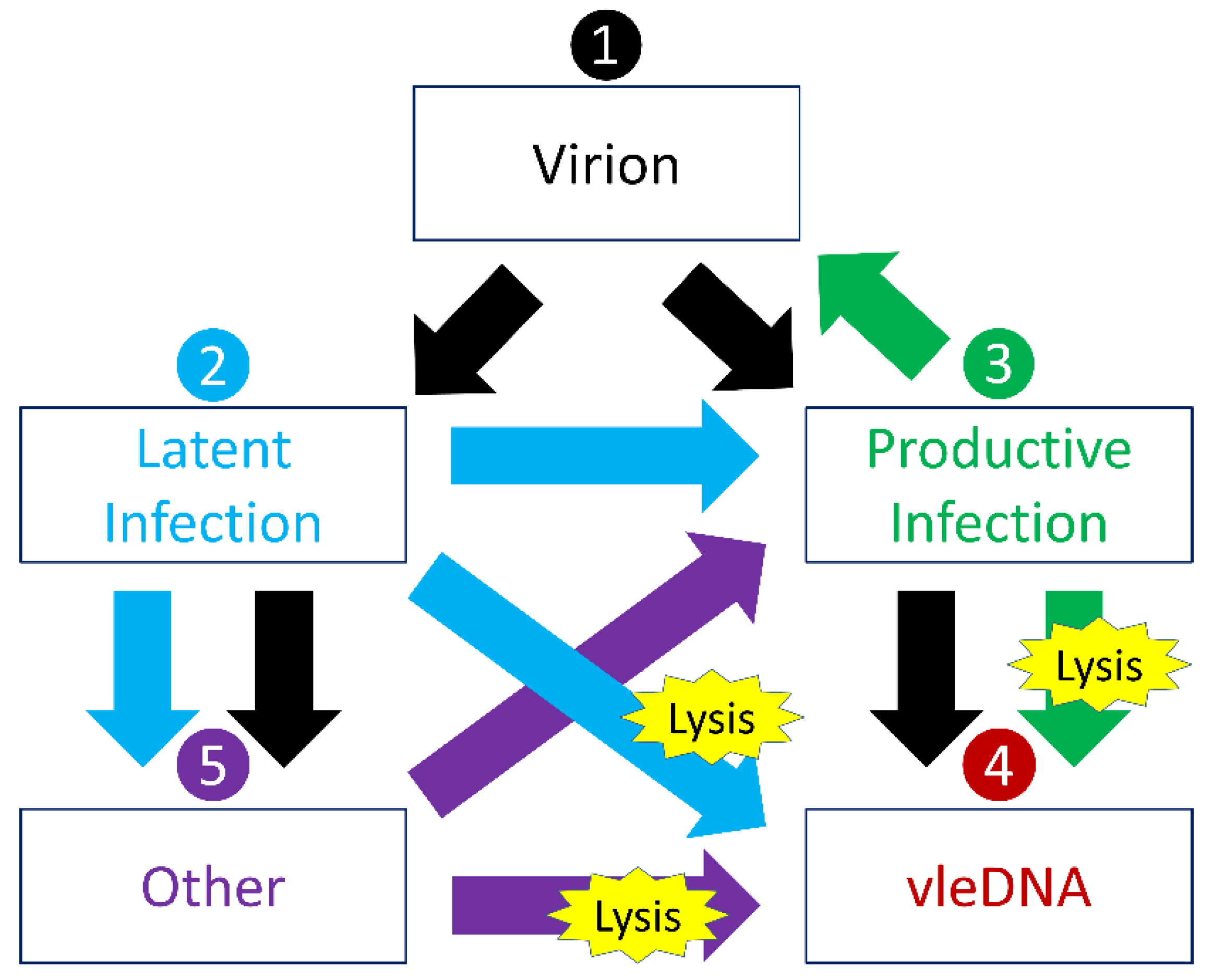 Soilsystems 04 00023 g001 Soilsystems 04 00023 g001