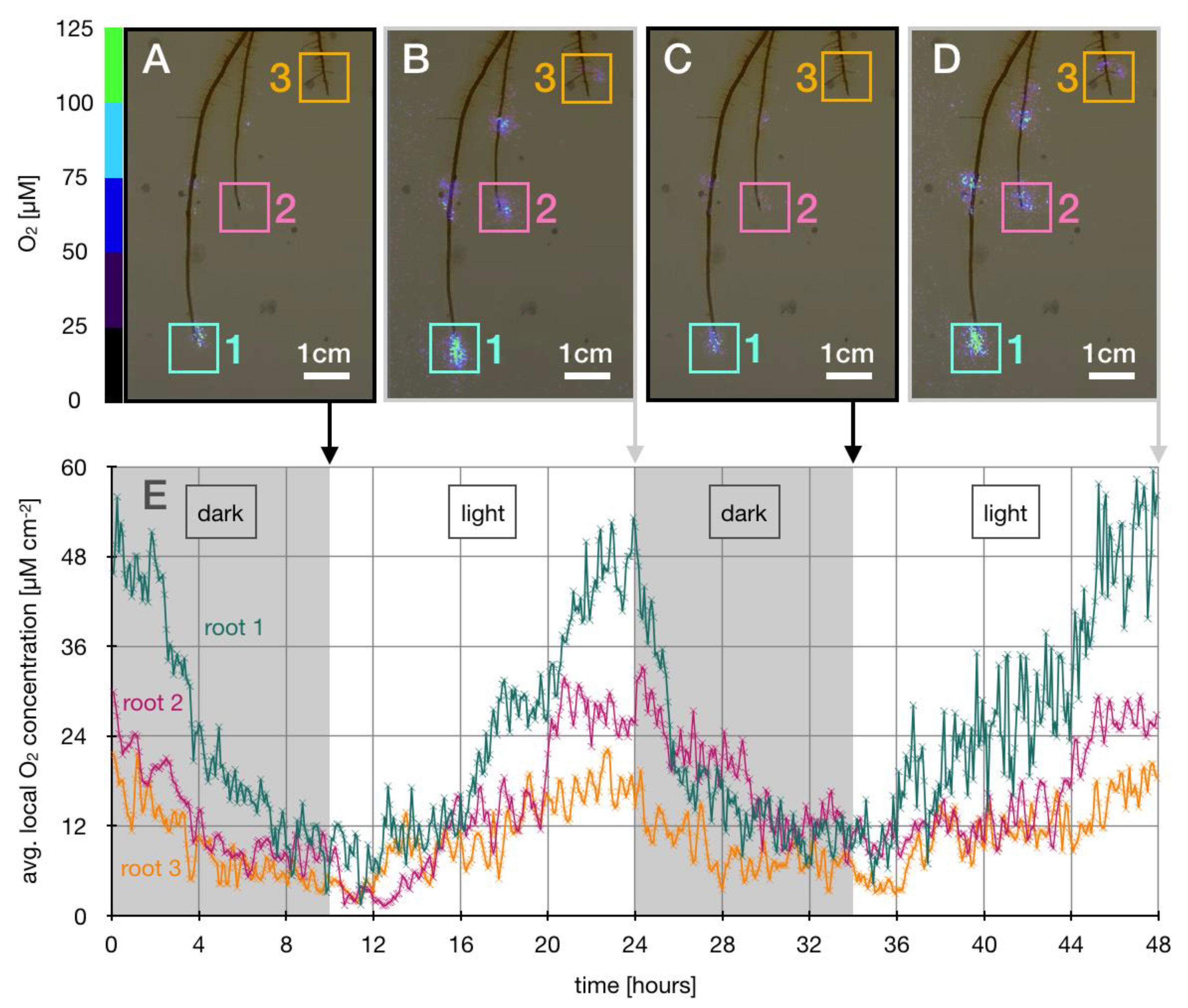 Soilsystems 04 00028 g002 Soilsystems 04 00028 g002